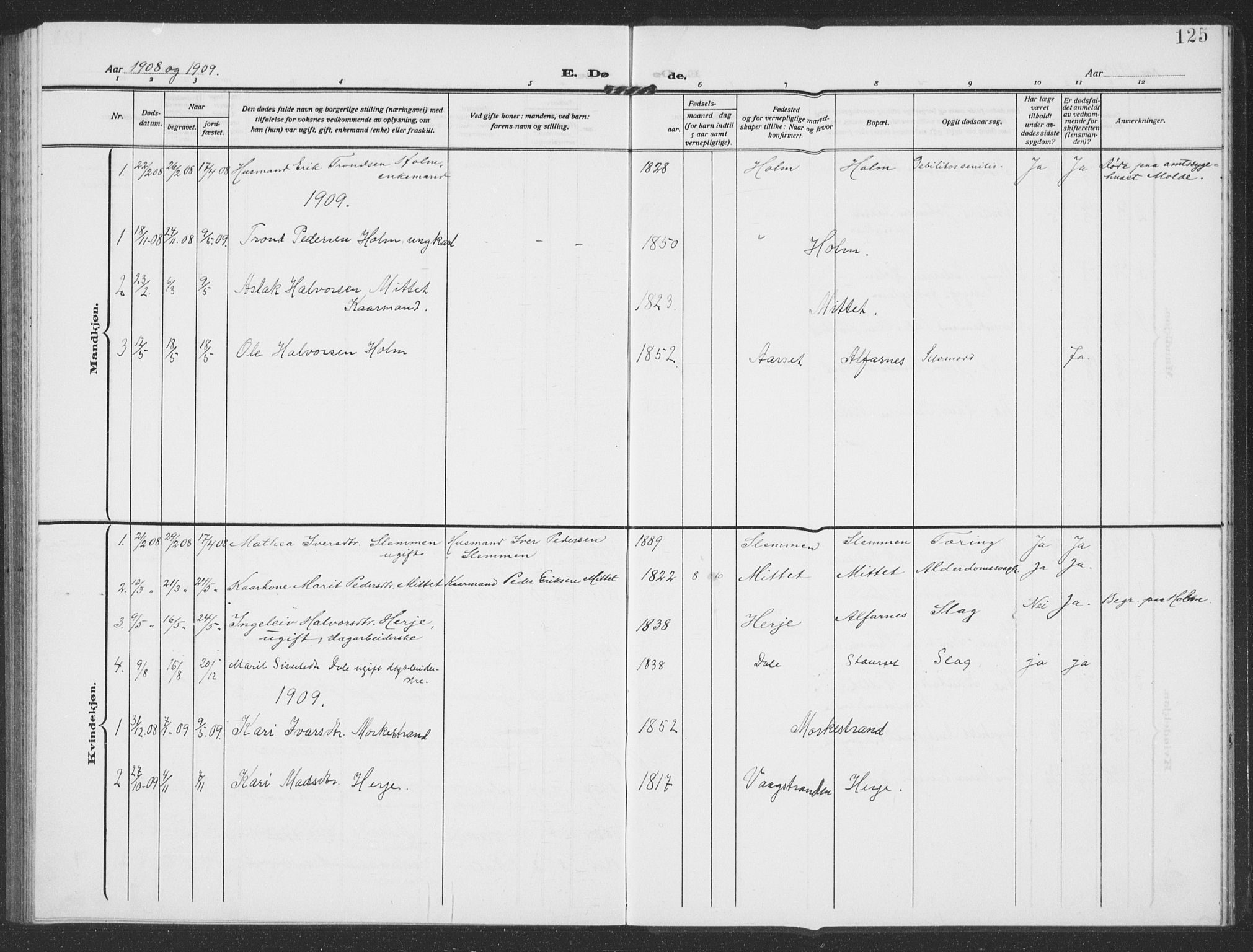 Ministerialprotokoller, klokkerbøker og fødselsregistre - Møre og Romsdal, SAT/A-1454/549/L0615: Parish register (copy) no. 549C01, 1905-1932, p. 125