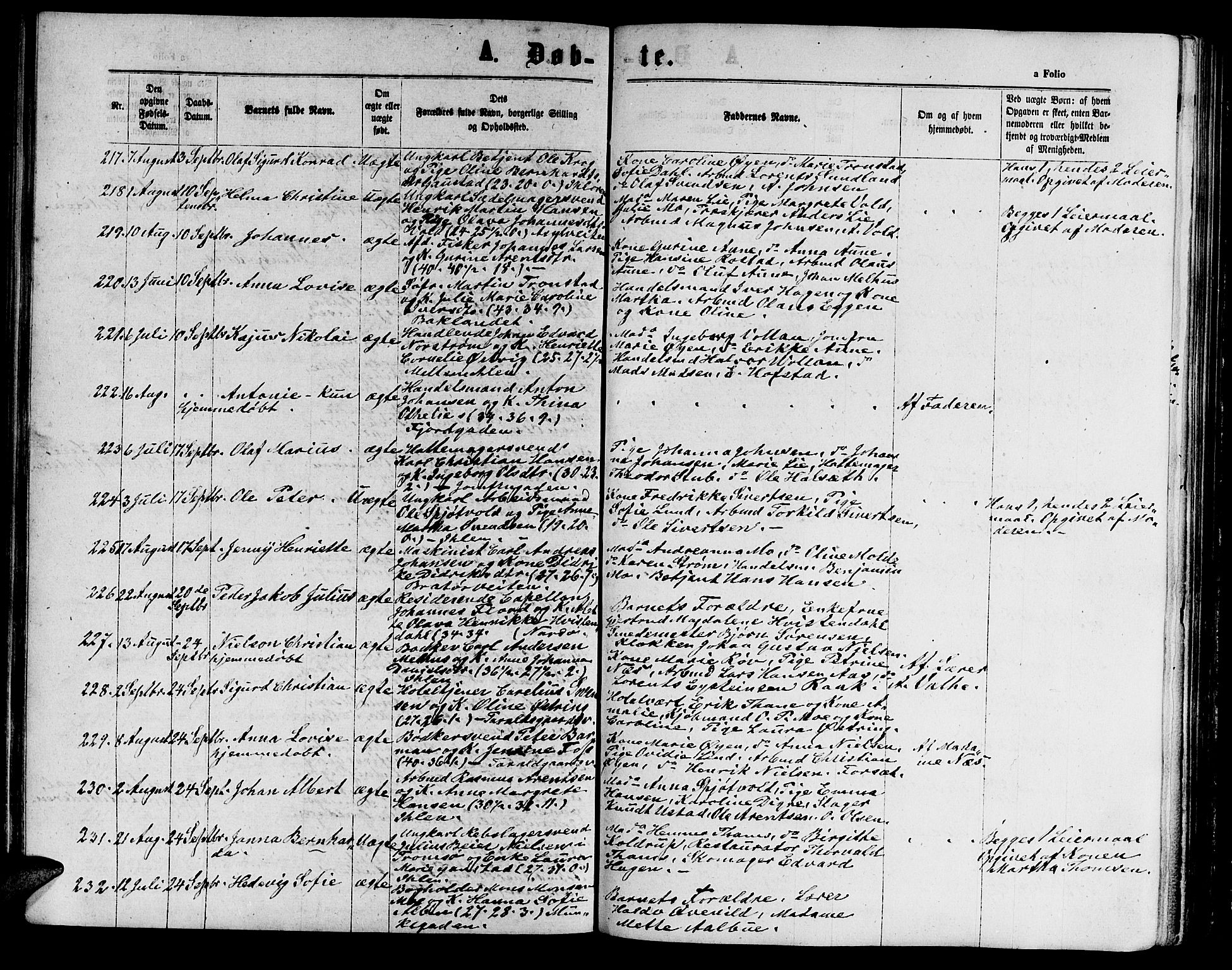 Ministerialprotokoller, klokkerbøker og fødselsregistre - Sør-Trøndelag, AV/SAT-A-1456/602/L0141: Parish register (copy) no. 602C09, 1865-1877