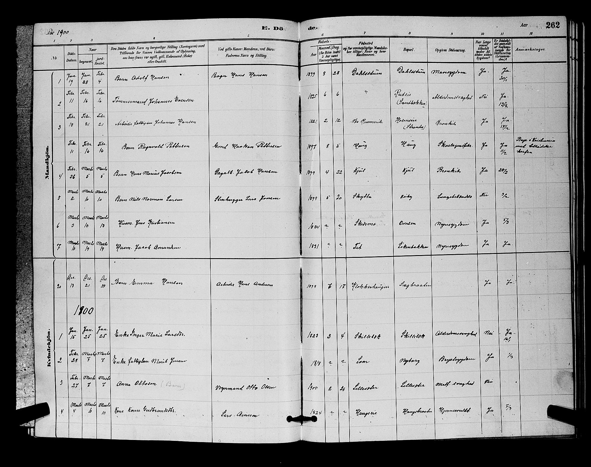 Nittedal prestekontor Kirkebøker, SAO/A-10365a/G/Ga/L0002: Parish register (copy) no. I 2, 1879-1901, p. 262