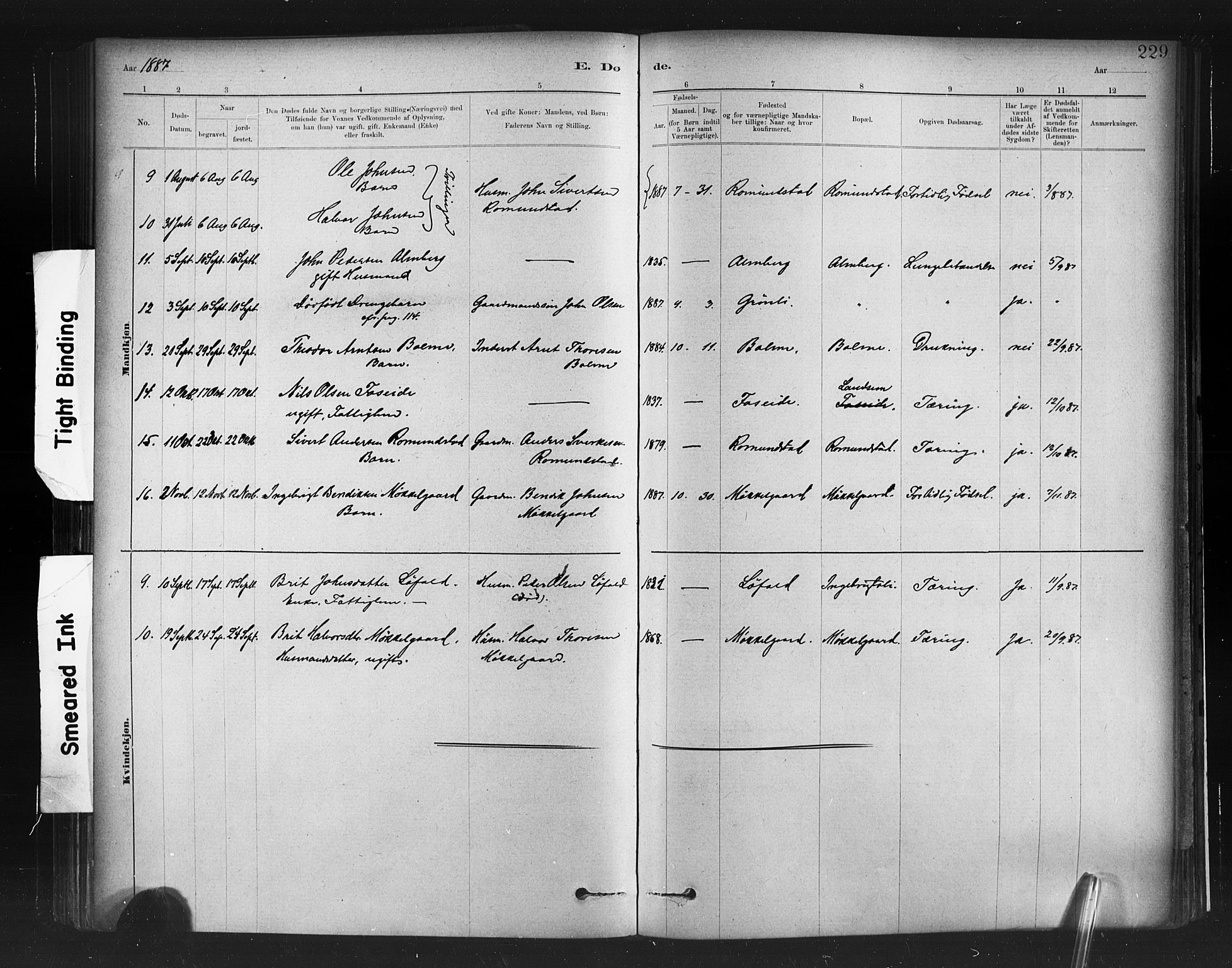 Ministerialprotokoller, klokkerbøker og fødselsregistre - Møre og Romsdal, AV/SAT-A-1454/598/L1069: Parish register (official) no. 598A03, 1882-1895, p. 229