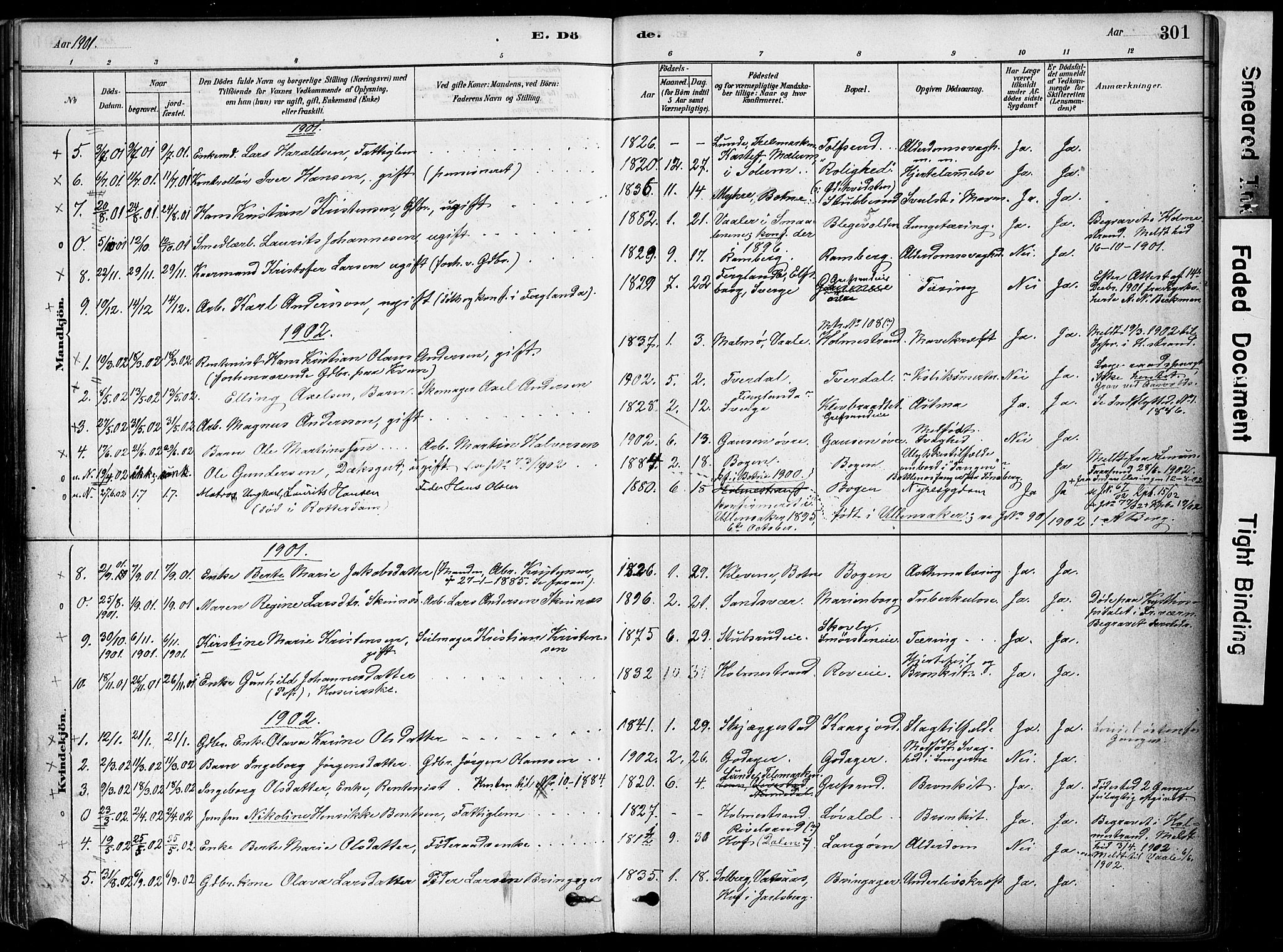 Botne kirkebøker, SAKO/A-340/F/Fa/L0007: Parish register (official) no. I 7, 1878-1910, p. 301