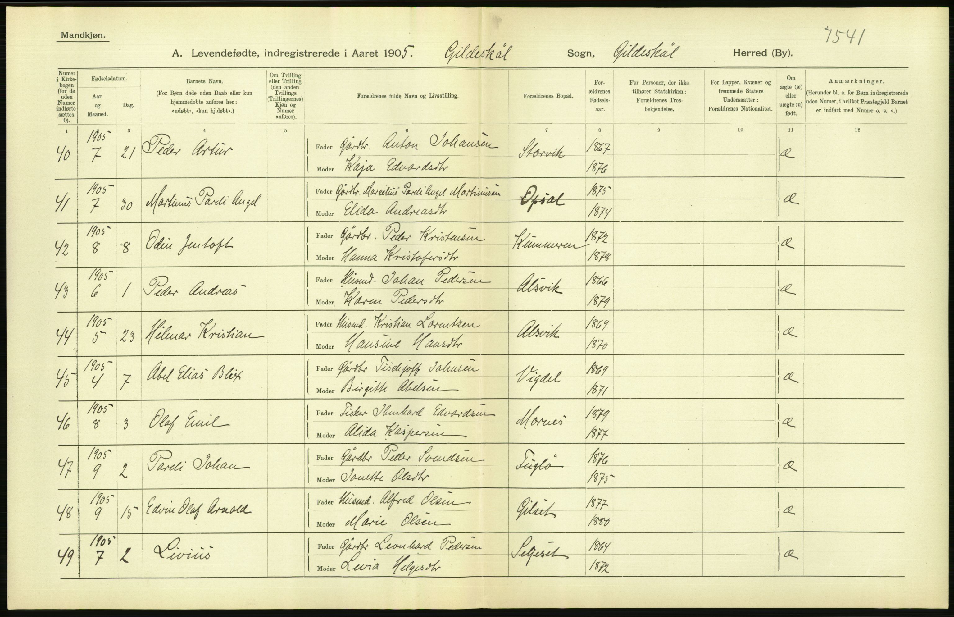 Statistisk sentralbyrå, Sosiodemografiske emner, Befolkning, AV/RA-S-2228/D/Df/Dfa/Dfac/L0037: Nordlands amt: Levendefødte menn og kvinner. Bygder, 1905, p. 10