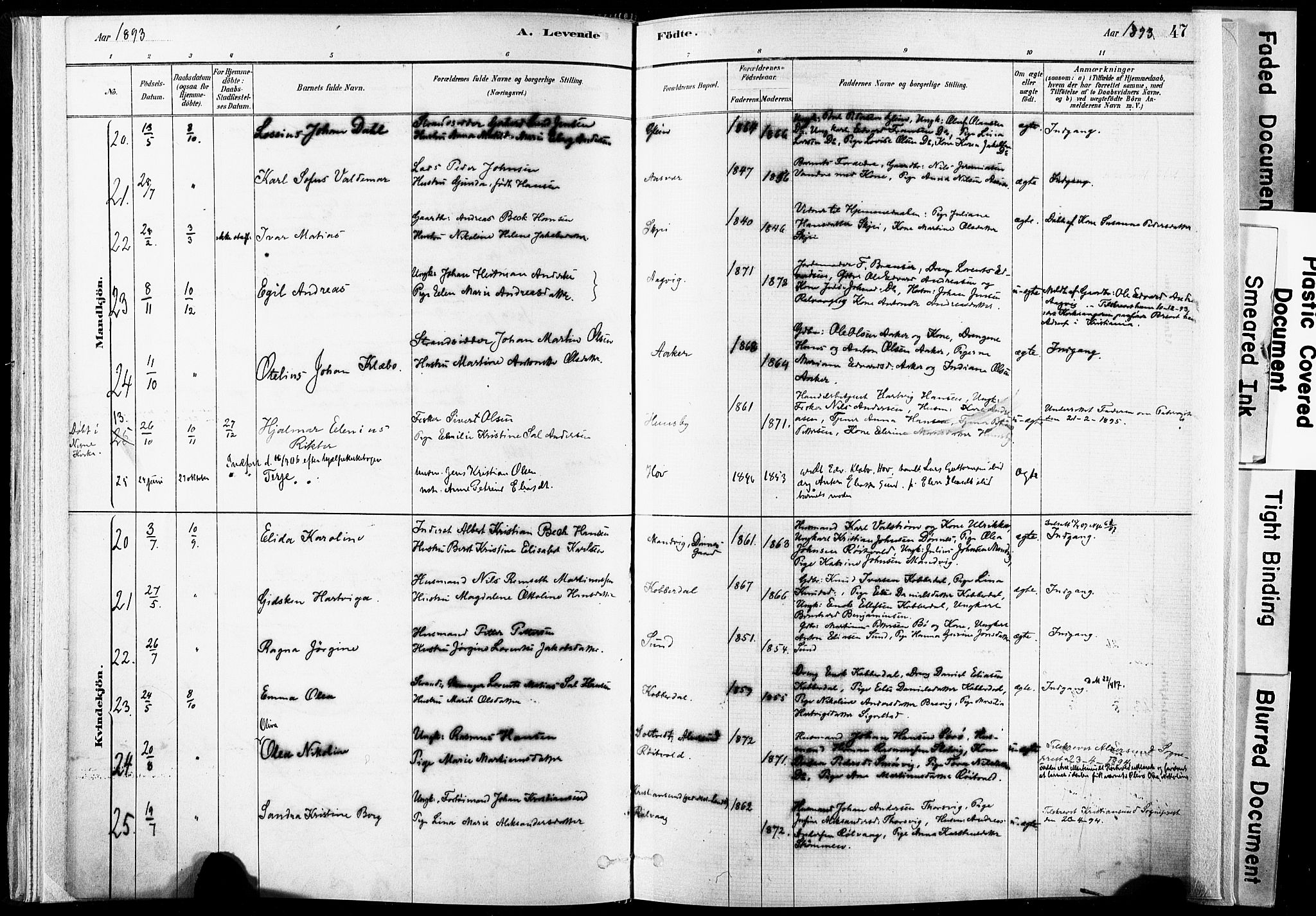 Ministerialprotokoller, klokkerbøker og fødselsregistre - Nordland, SAT/A-1459/835/L0525: Parish register (official) no. 835A03I, 1881-1910, p. 47