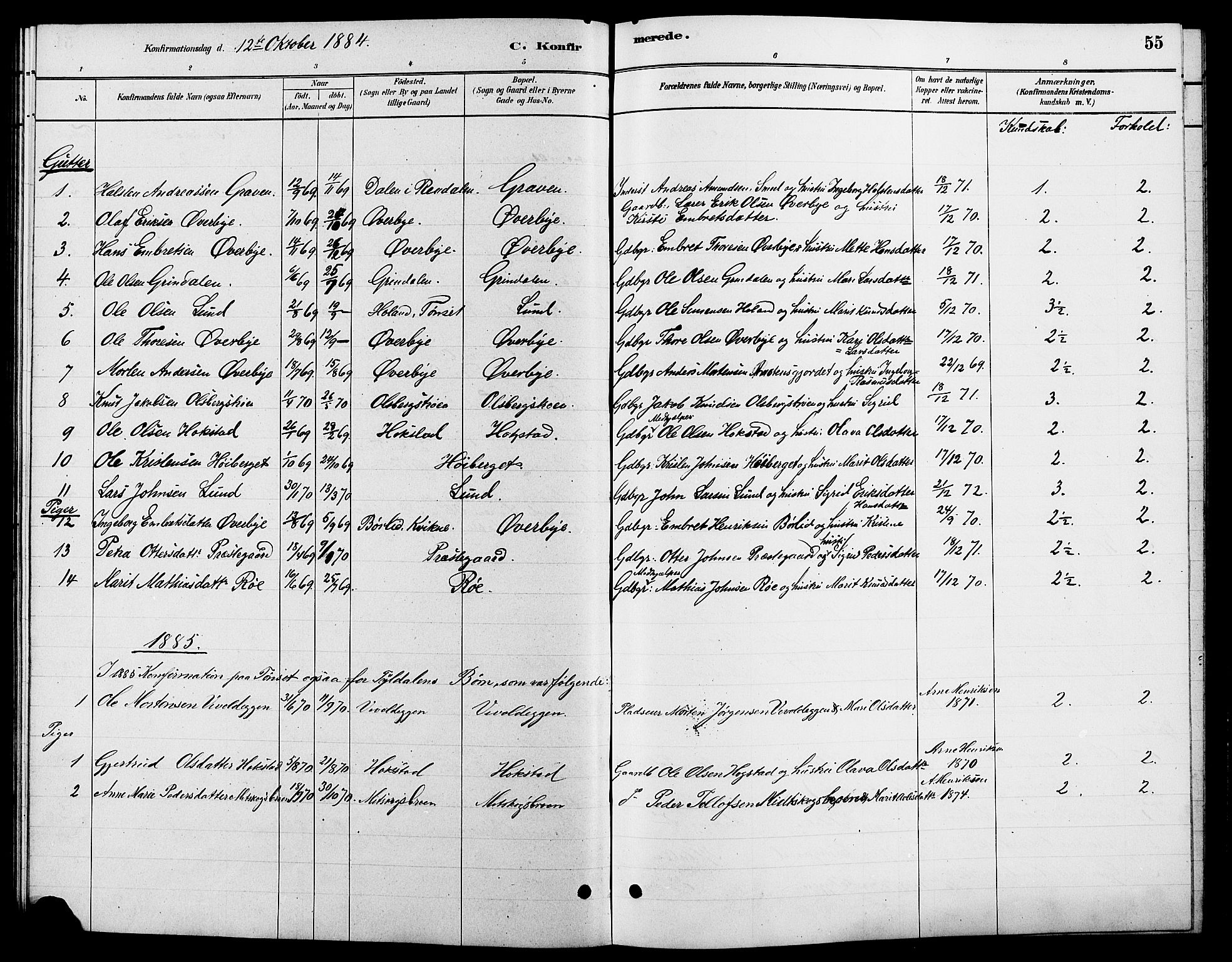 Tynset prestekontor, SAH/PREST-058/H/Ha/Hab/L0007: Parish register (copy) no. 7, 1880-1901, p. 55