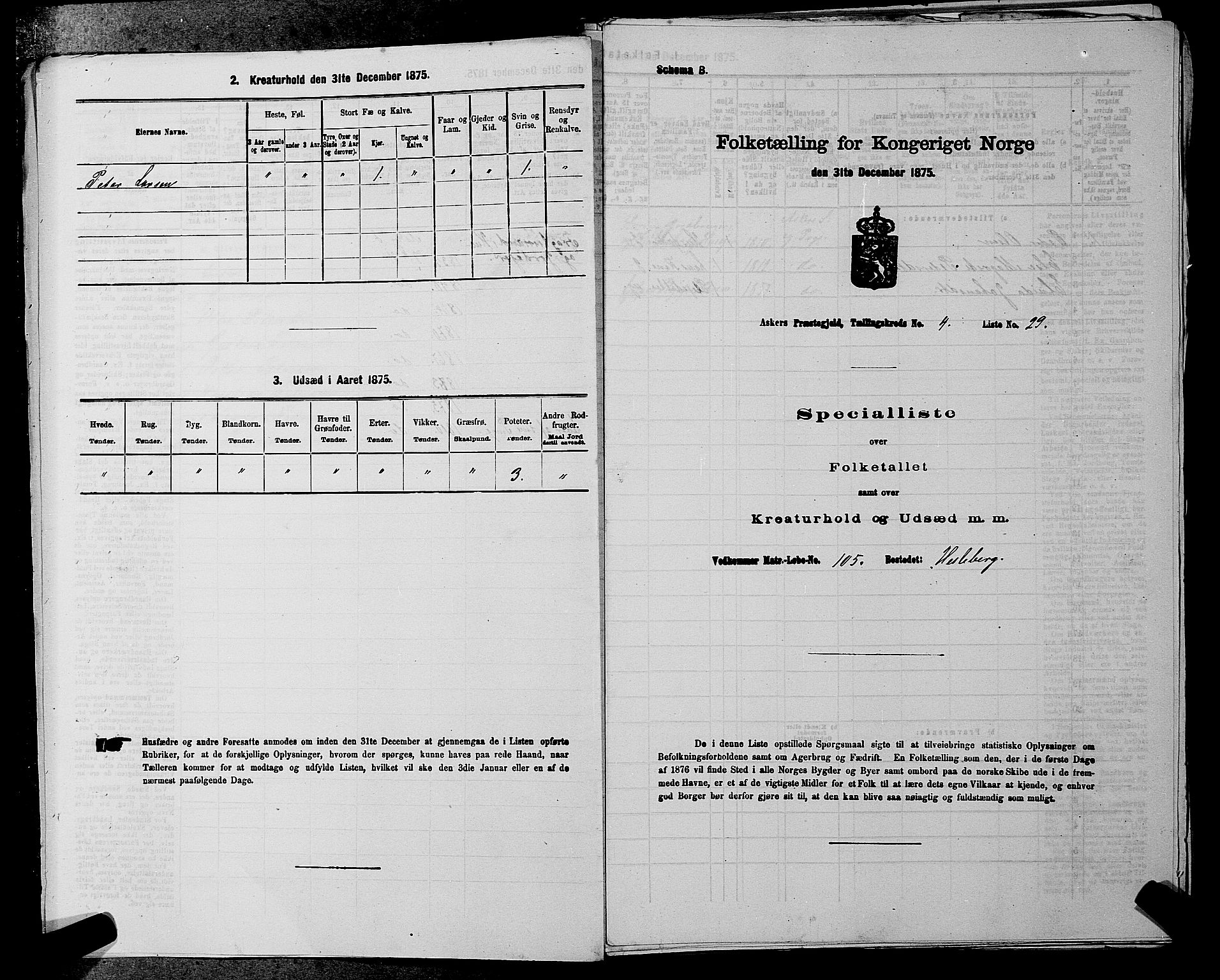 RA, 1875 census for 0220P Asker, 1875, p. 785