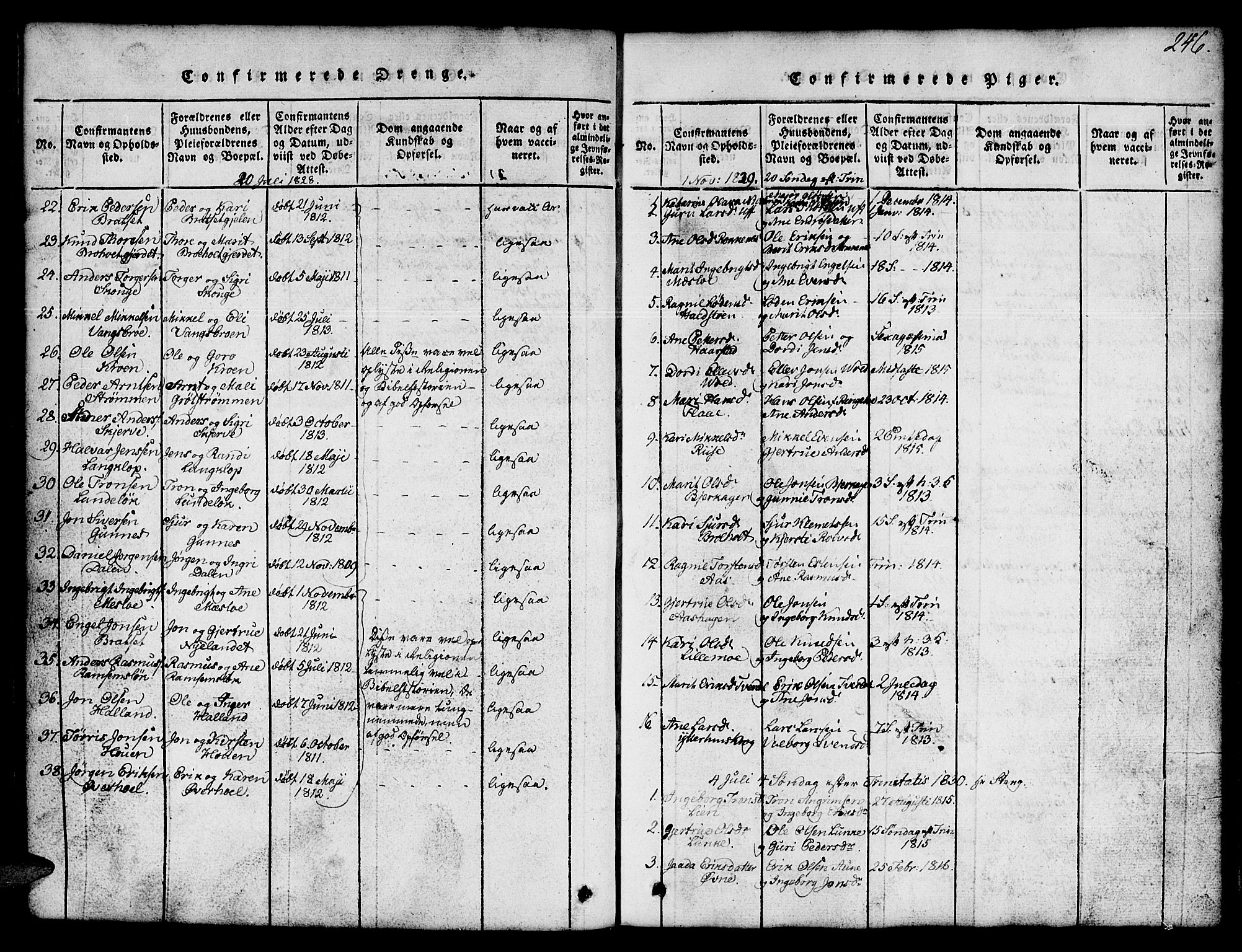 Ministerialprotokoller, klokkerbøker og fødselsregistre - Sør-Trøndelag, SAT/A-1456/674/L0874: Parish register (copy) no. 674C01, 1816-1860, p. 246