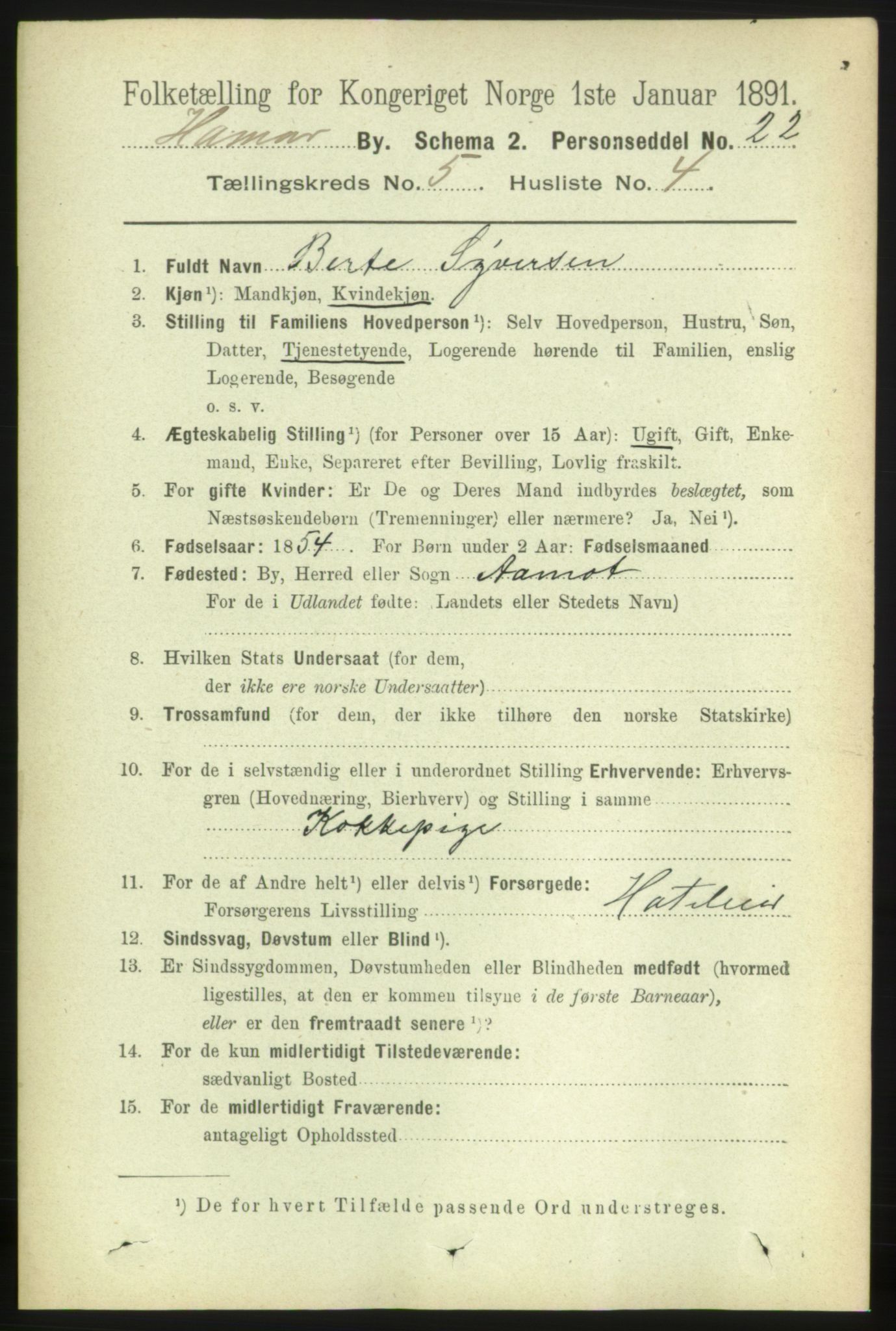 RA, 1891 census for 0401 Hamar, 1891, p. 3756