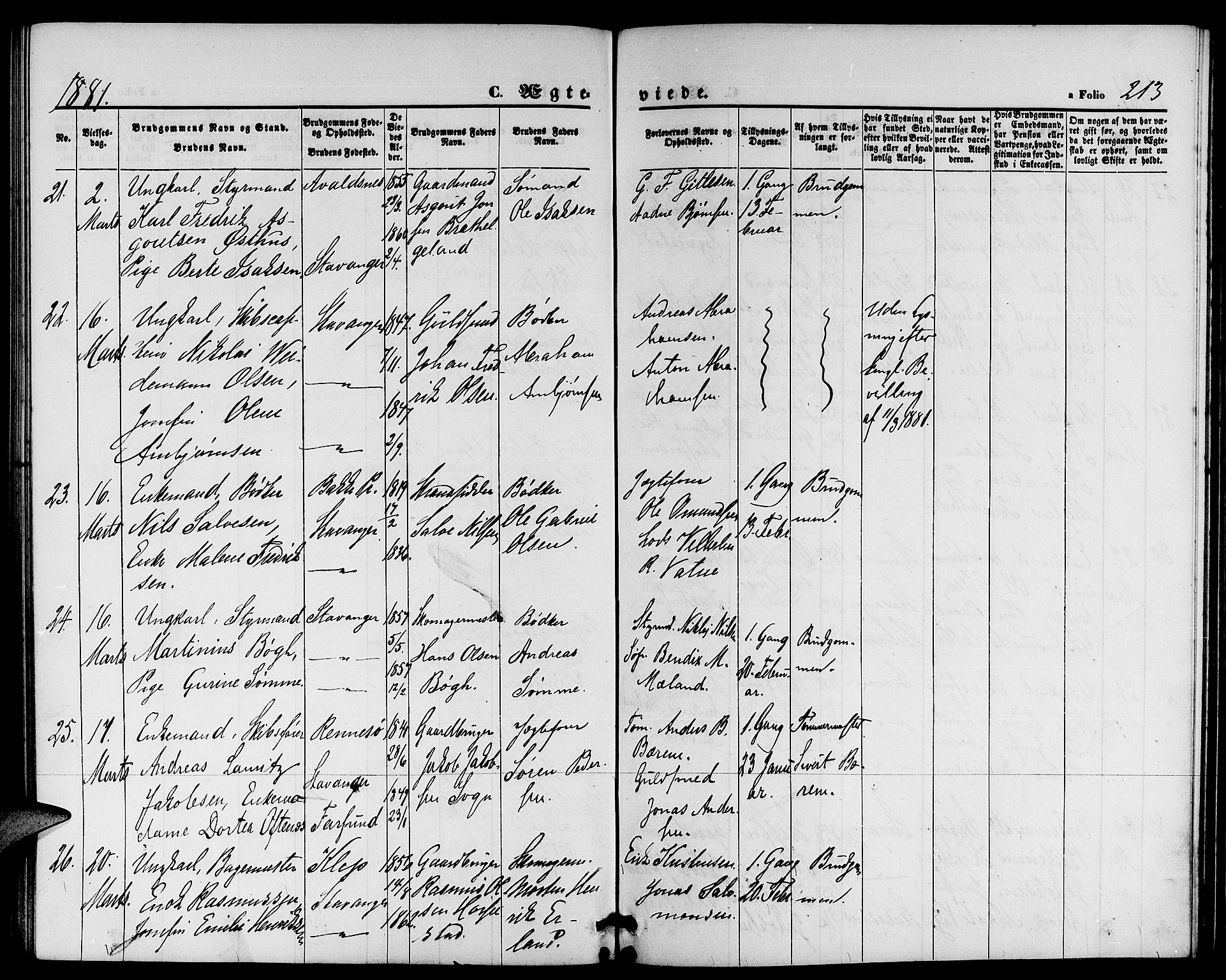 St. Petri sokneprestkontor, AV/SAST-A-101813/001/30/30BB/L0002: Parish register (copy) no. B 2, 1865-1885, p. 213