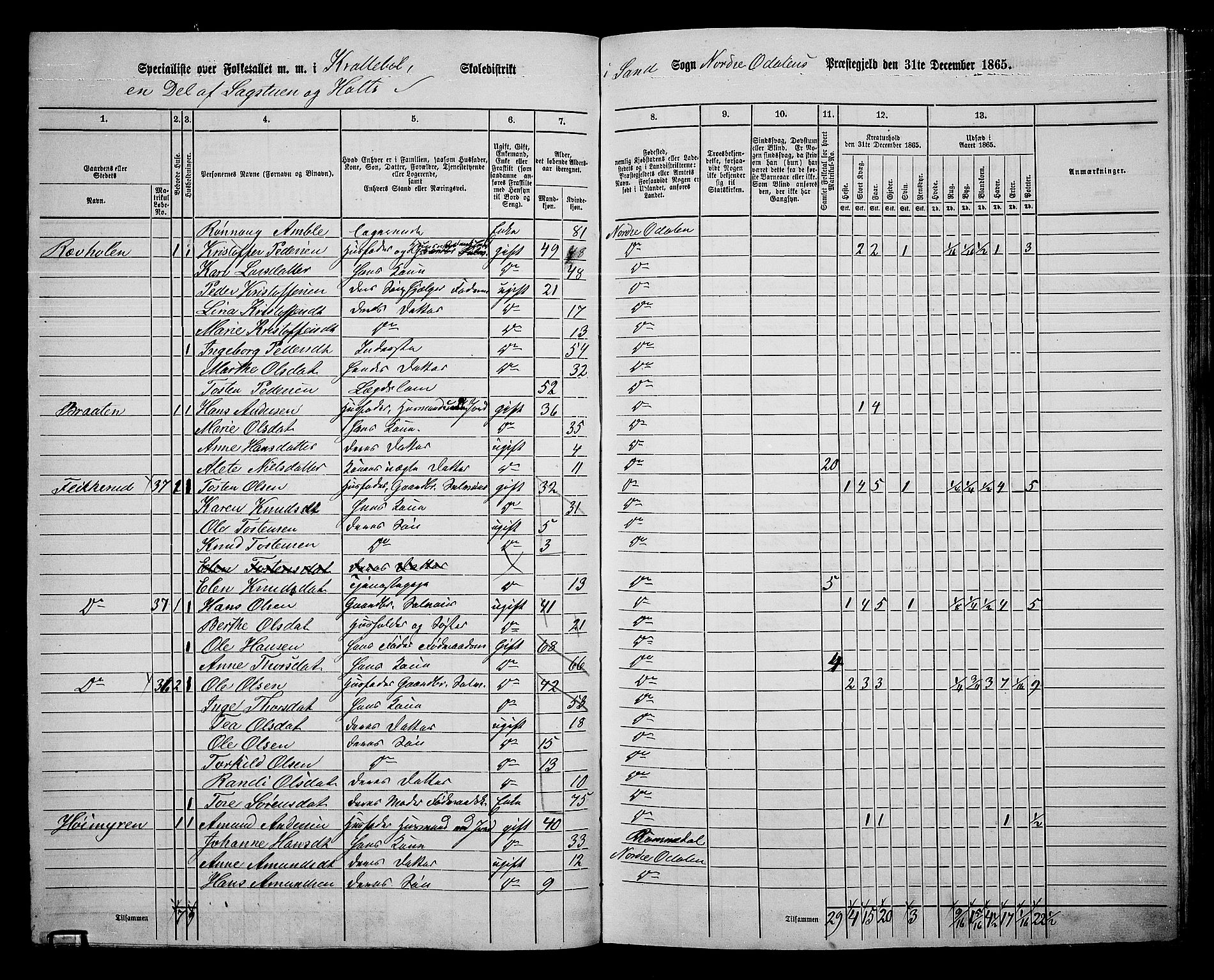 RA, 1865 census for Nord-Odal, 1865, p. 80