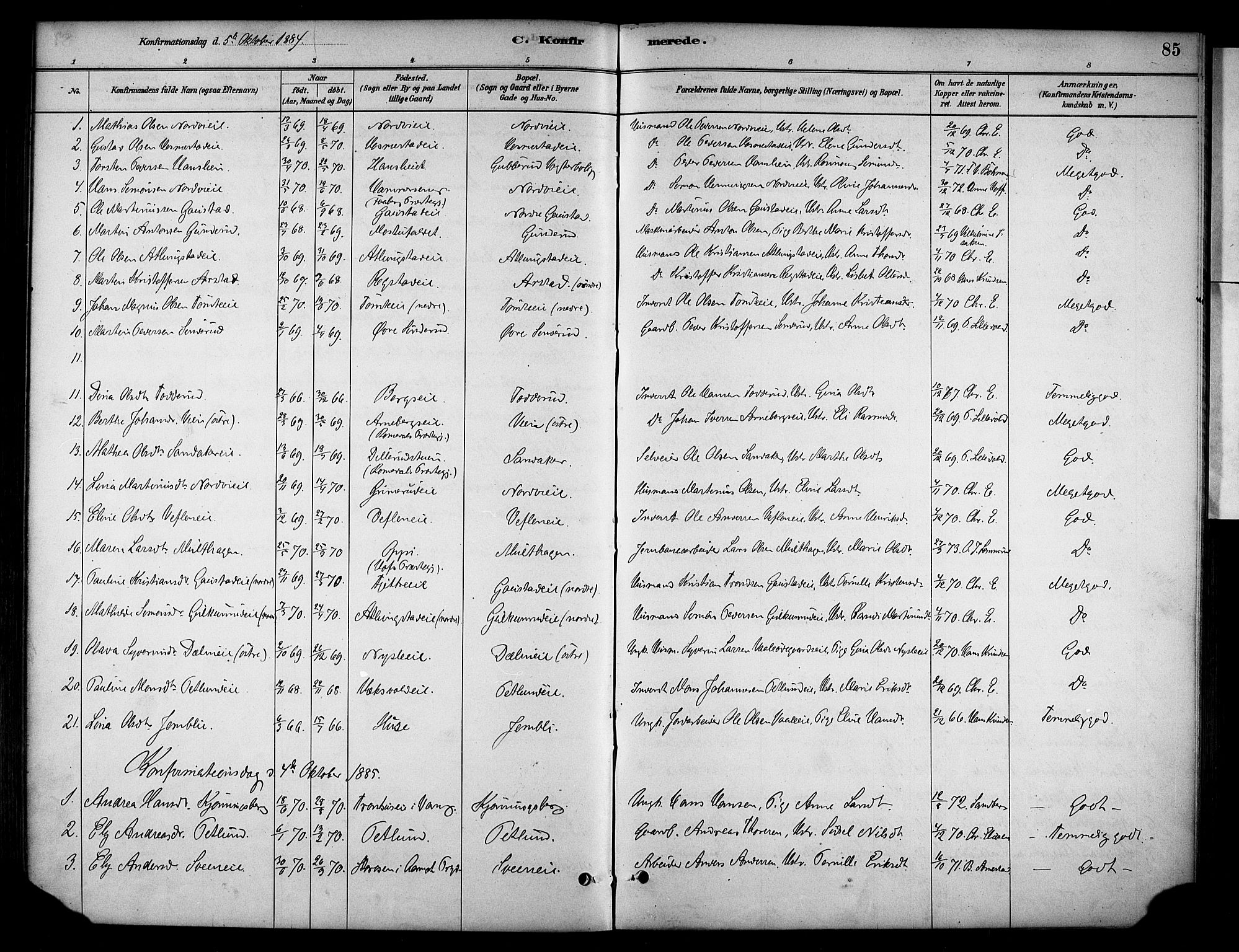 Stange prestekontor, AV/SAH-PREST-002/K/L0019: Parish register (official) no. 19, 1880-1891, p. 85