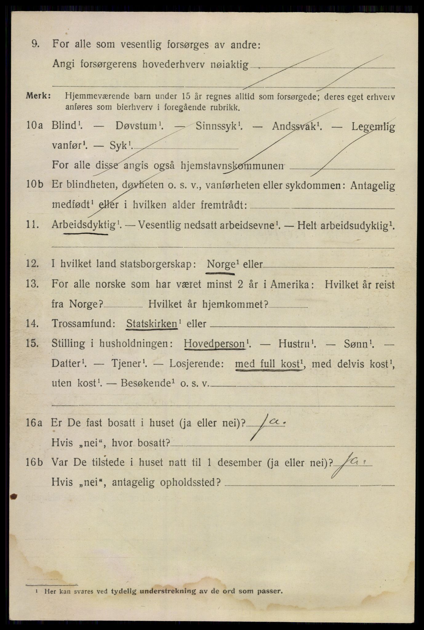 SAO, 1920 census for Sarpsborg, 1920, p. 19313