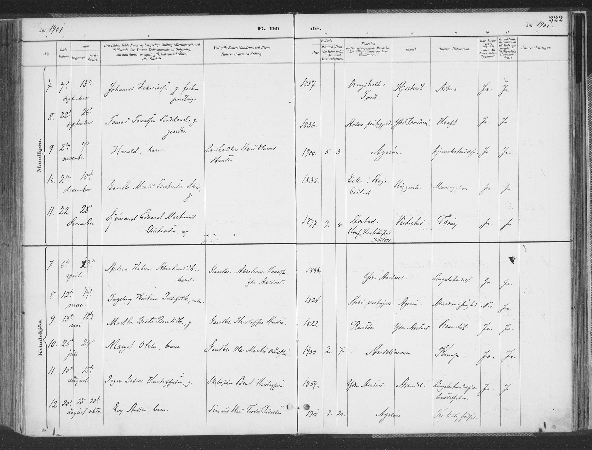 Høvåg sokneprestkontor, AV/SAK-1111-0025/F/Fa/L0006: Parish register (official) no. A 6, 1894-1923, p. 322