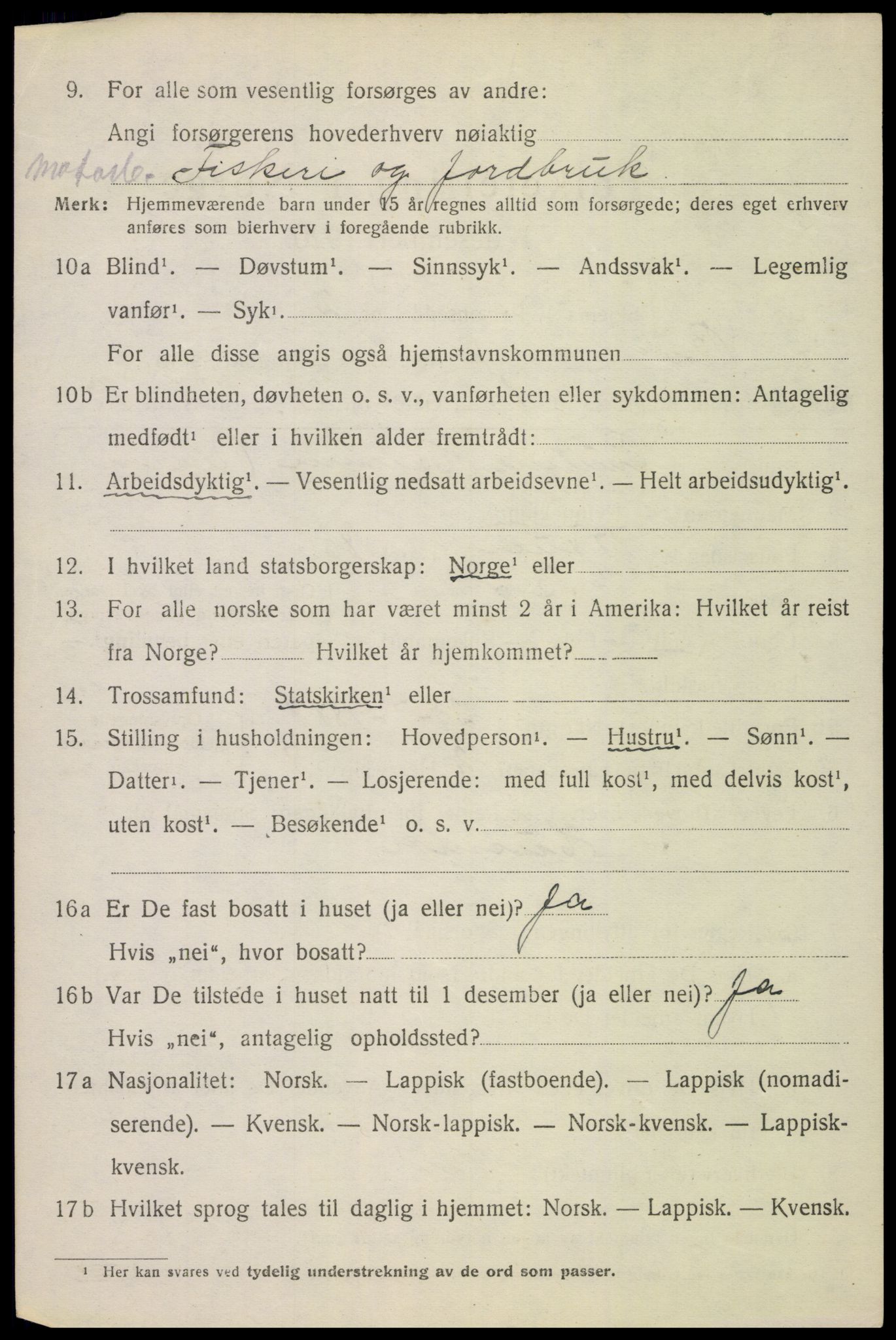 SAT, 1920 census for Bø, 1920, p. 6817