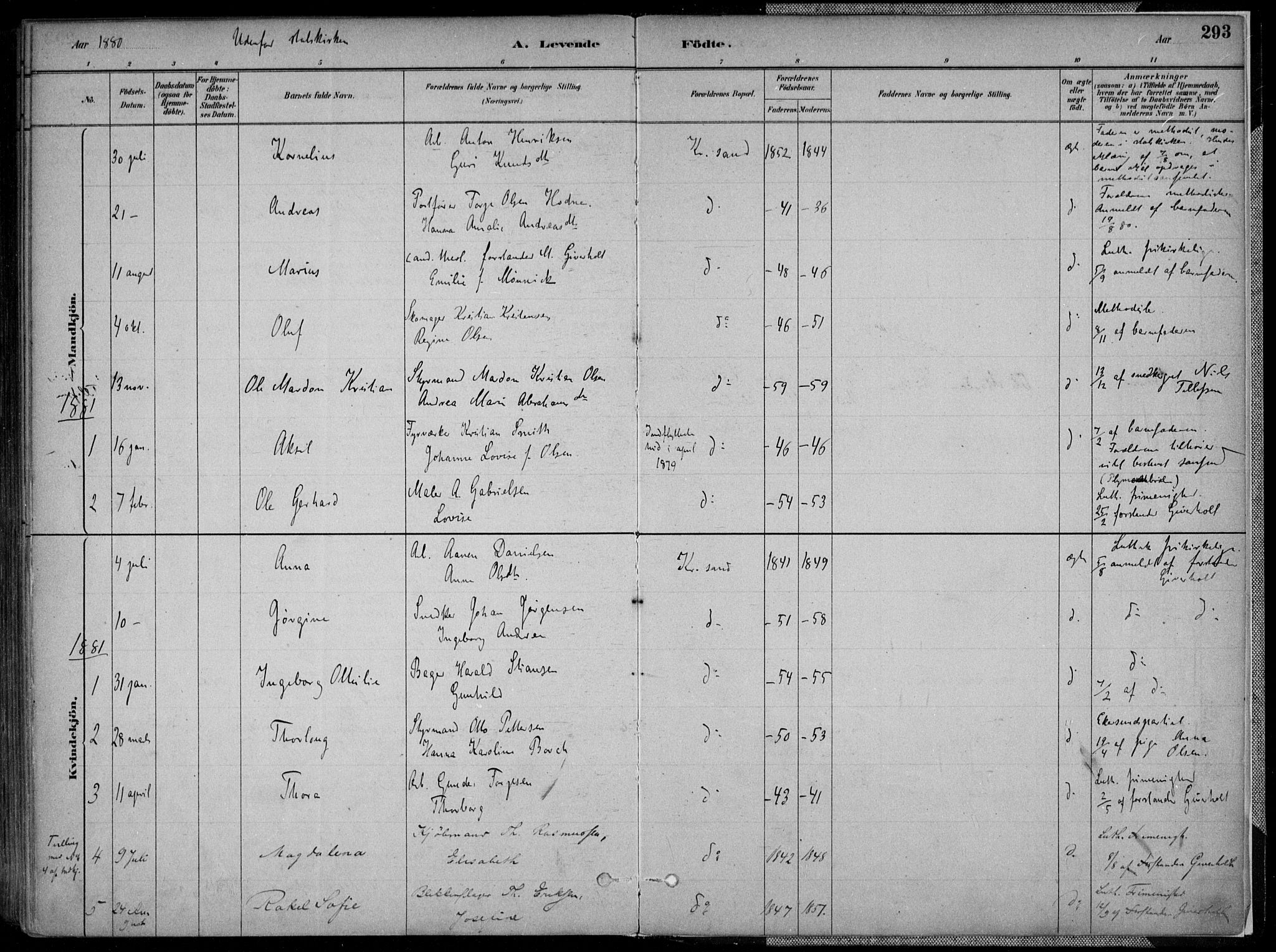 Kristiansand domprosti, AV/SAK-1112-0006/F/Fa/L0016: Parish register (official) no. A 16A, 1880-1890, p. 293