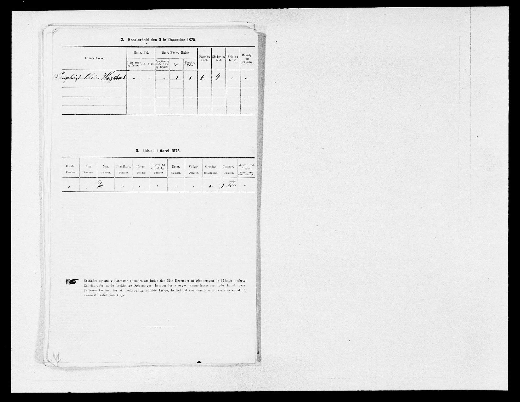 SAB, 1875 census for 1419P Leikanger, 1875, p. 536