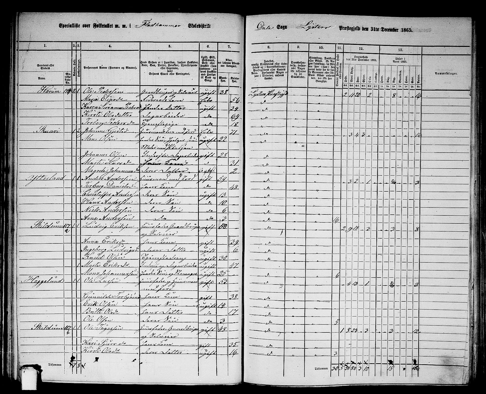 RA, 1865 census for Luster, 1865, p. 66