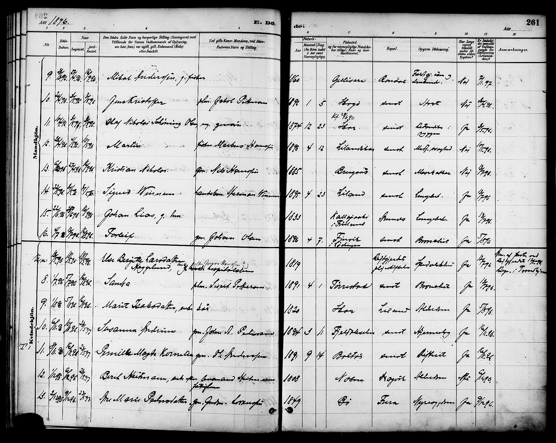 Ministerialprotokoller, klokkerbøker og fødselsregistre - Nordland, SAT/A-1459/863/L0898: Parish register (official) no. 863A10, 1886-1897, p. 261