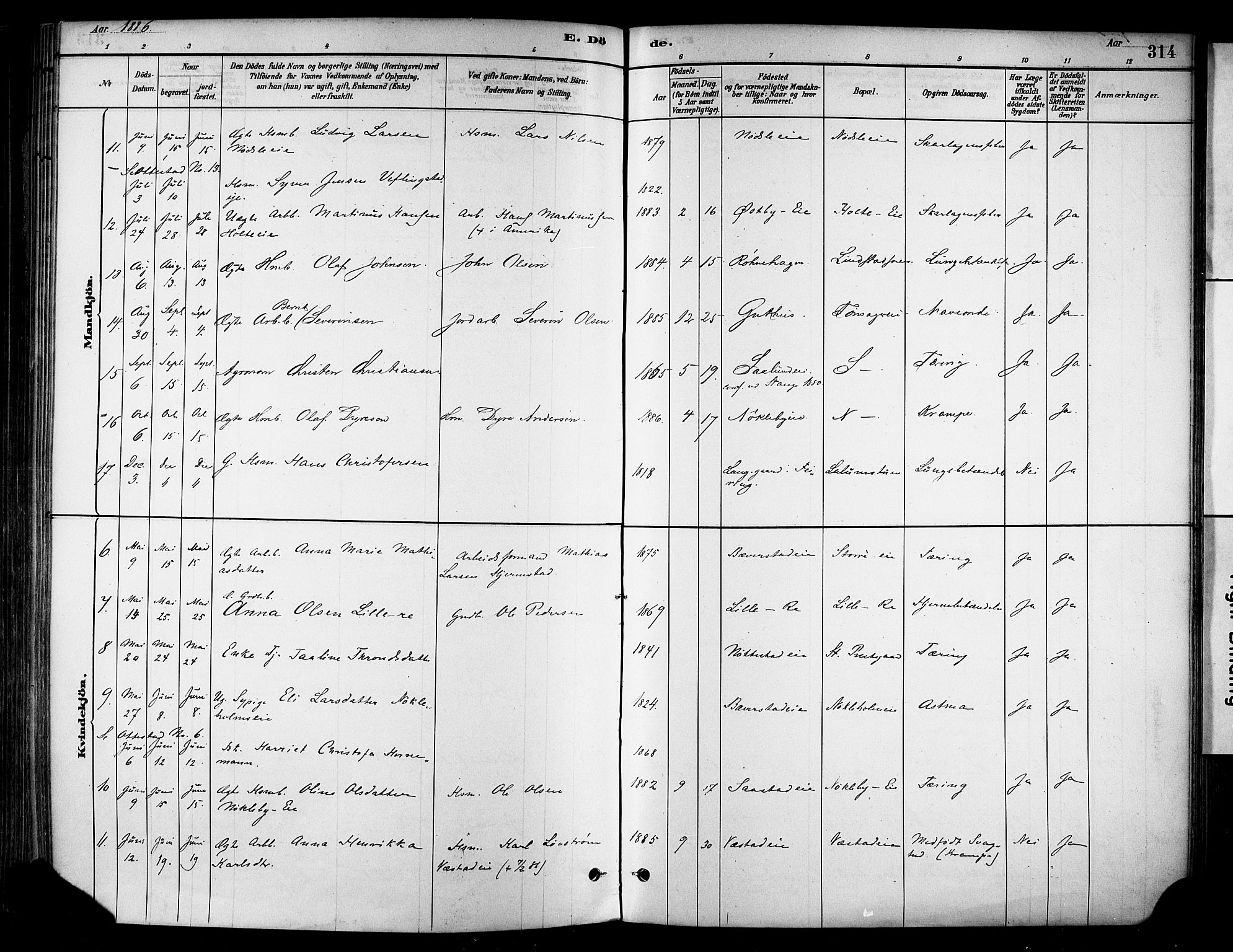 Stange prestekontor, AV/SAH-PREST-002/K/L0017: Parish register (official) no. 17, 1880-1893, p. 314