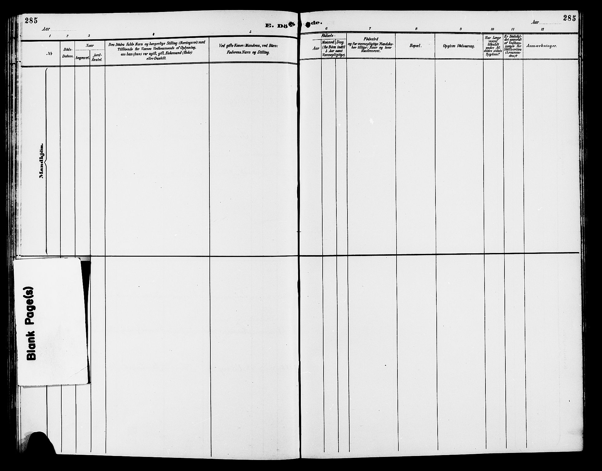 Vang prestekontor, Hedmark, AV/SAH-PREST-008/H/Ha/Hab/L0013: Parish register (copy) no. 13, 1890-1899, p. 285