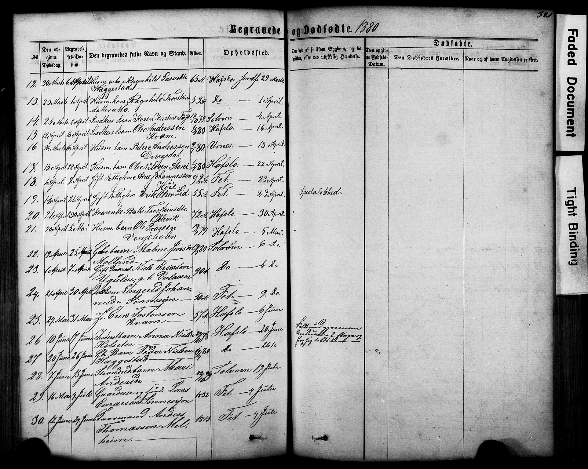 Hafslo sokneprestembete, AV/SAB-A-80301/H/Hab/Haba/L0001: Parish register (copy) no. A 1, 1866-1908, p. 321