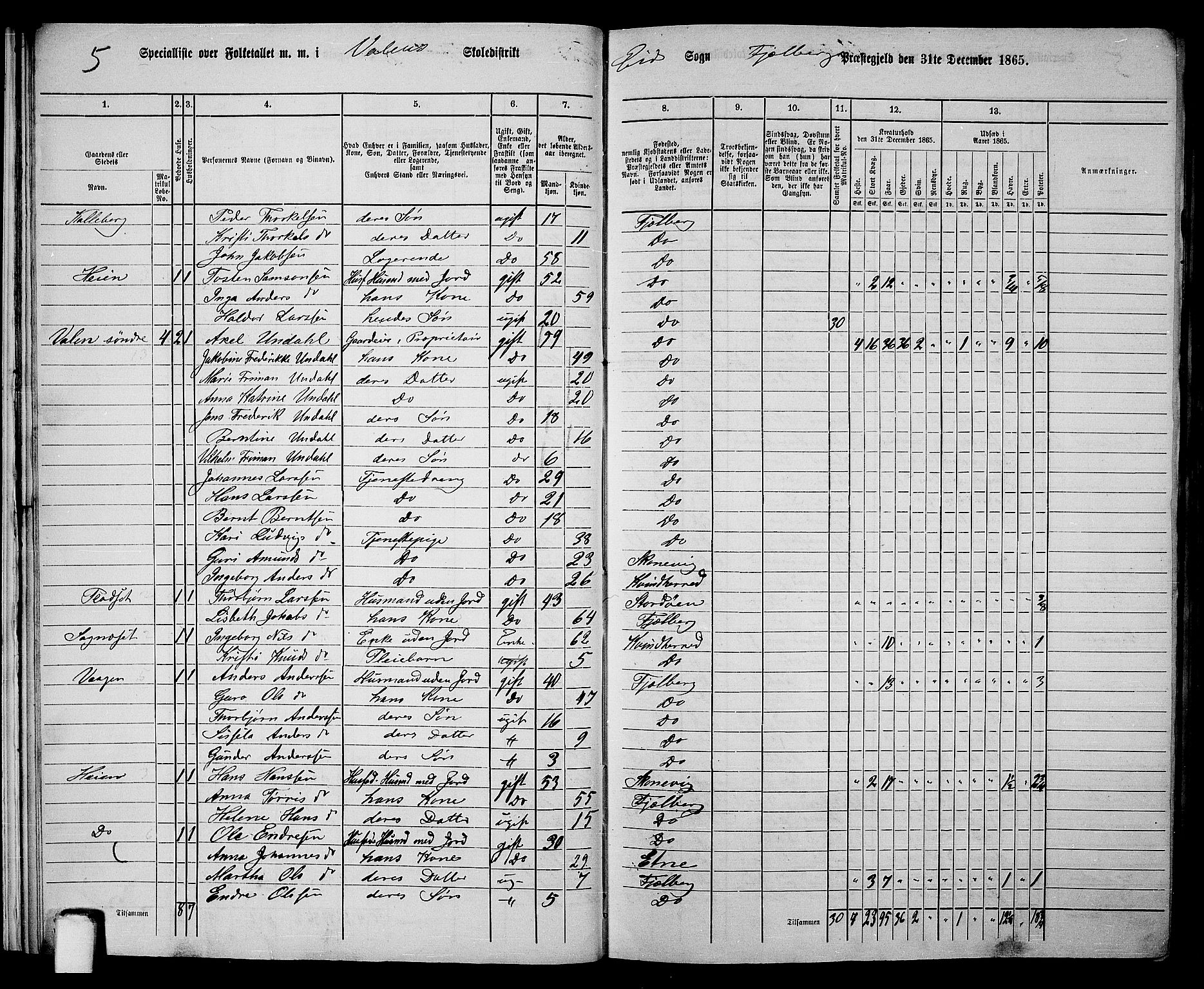 RA, 1865 census for Fjelberg, 1865, p. 15