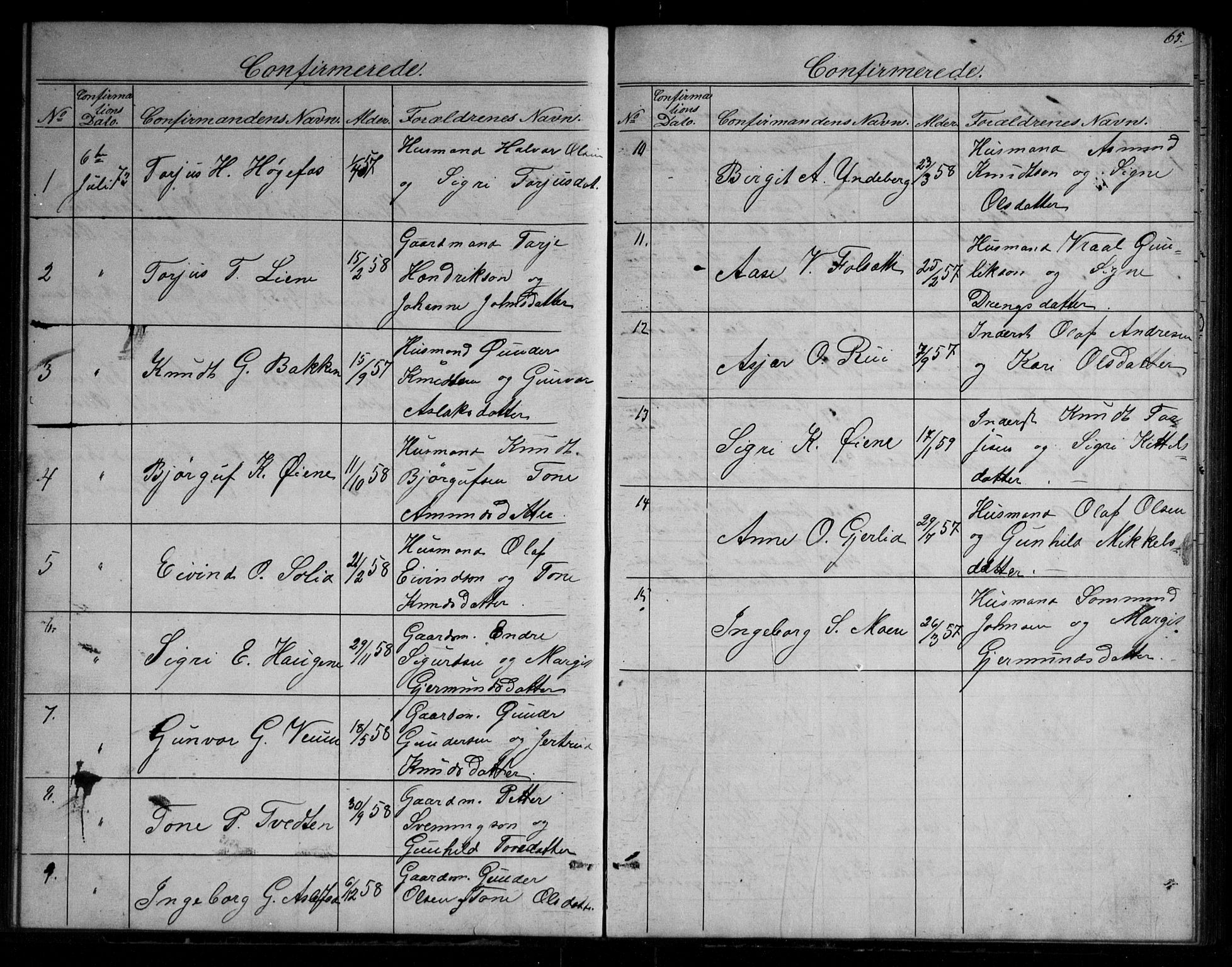Fyresdal kirkebøker, SAKO/A-263/G/Gb/L0001: Parish register (copy) no. II 1, 1864-1890, p. 65
