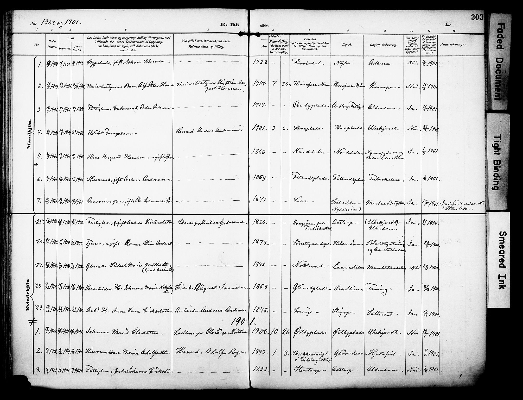 Rakkestad prestekontor Kirkebøker, AV/SAO-A-2008/F/Fa/L0013: Parish register (official) no. I 13, 1894-1908, p. 203