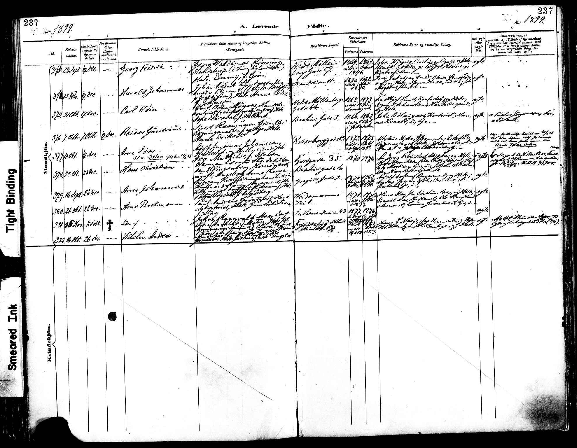 Ministerialprotokoller, klokkerbøker og fødselsregistre - Sør-Trøndelag, AV/SAT-A-1456/604/L0197: Parish register (official) no. 604A18, 1893-1900, p. 237