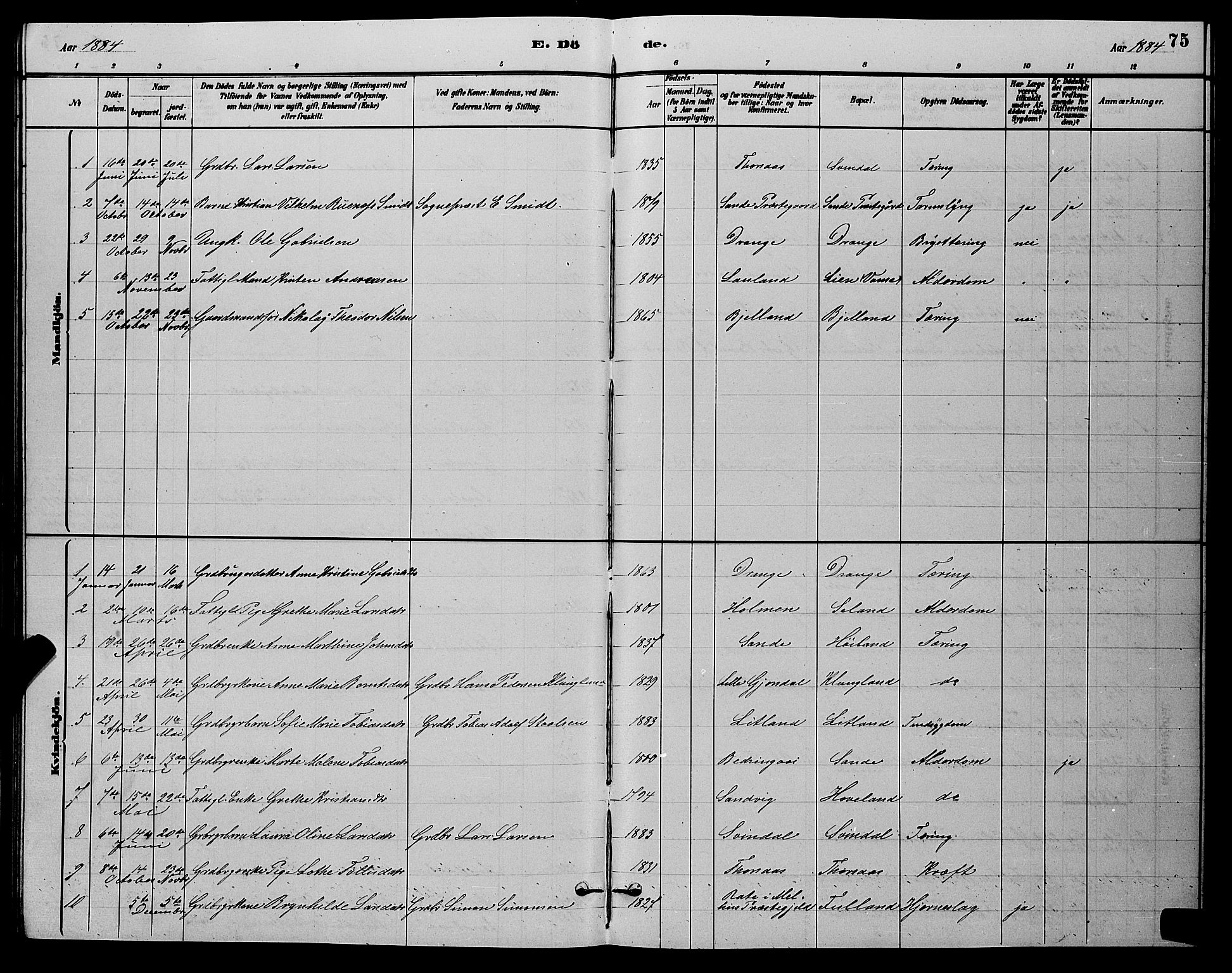 Herad sokneprestkontor, AV/SAK-1111-0018/F/Fb/Fba/L0004: Parish register (copy) no. B 4, 1882-1899, p. 75