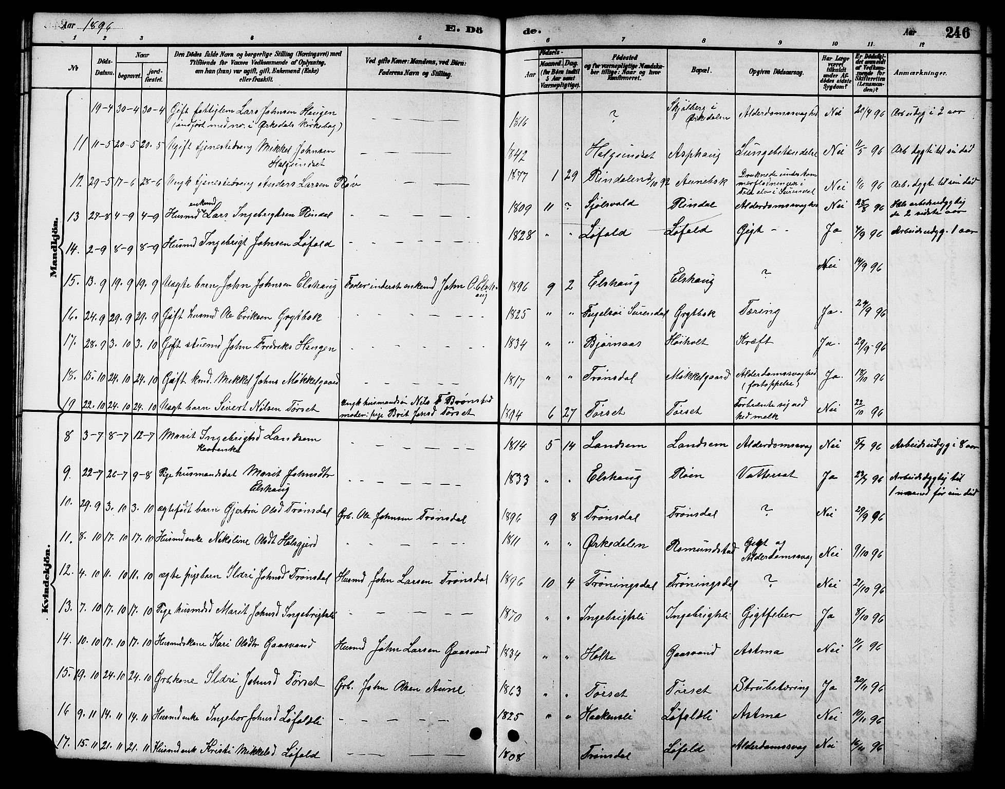 Ministerialprotokoller, klokkerbøker og fødselsregistre - Møre og Romsdal, SAT/A-1454/598/L1078: Parish register (copy) no. 598C03, 1892-1909, p. 246