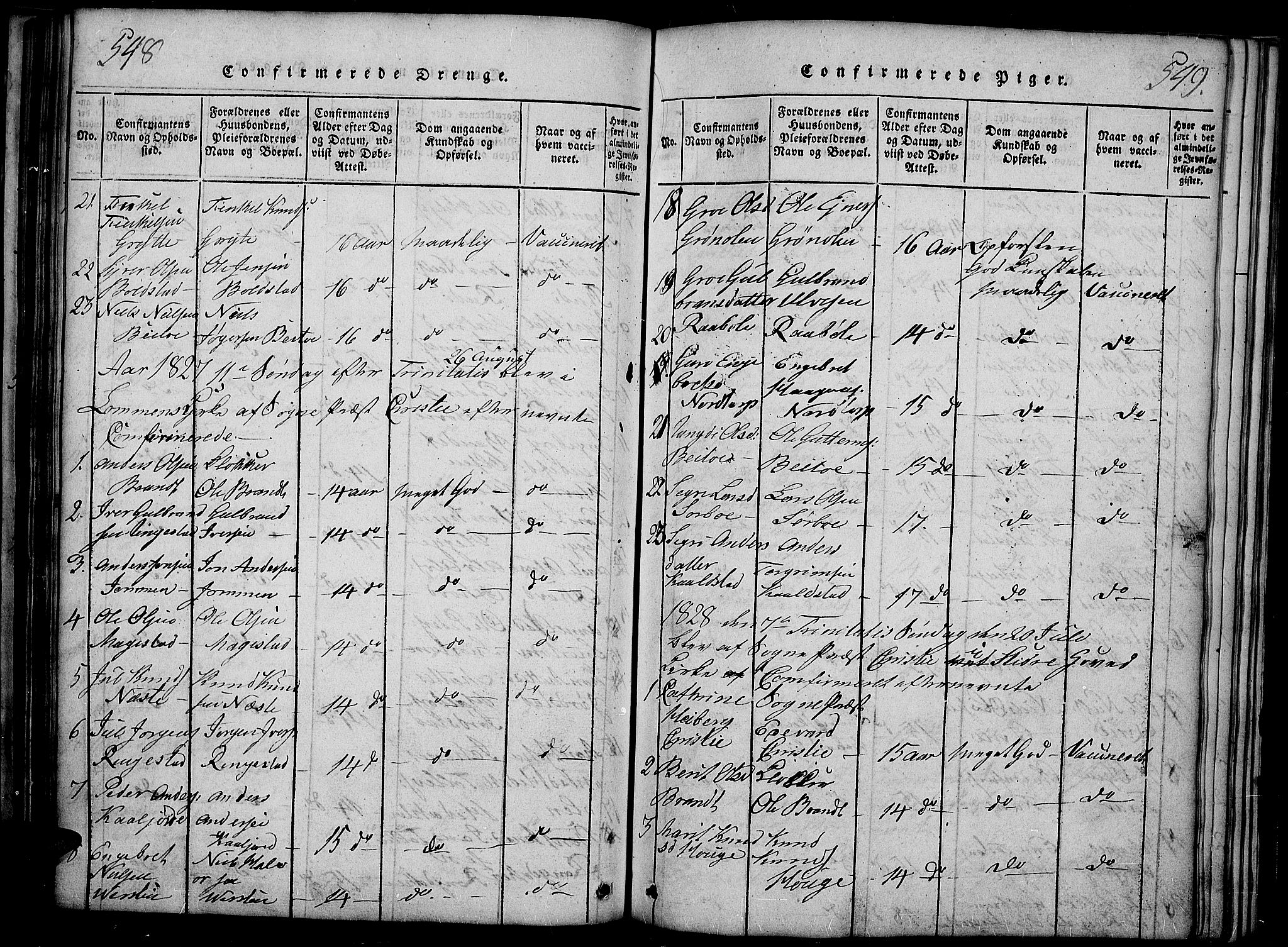 Slidre prestekontor, SAH/PREST-134/H/Ha/Haa/L0002: Parish register (official) no. 2, 1814-1830, p. 548-549