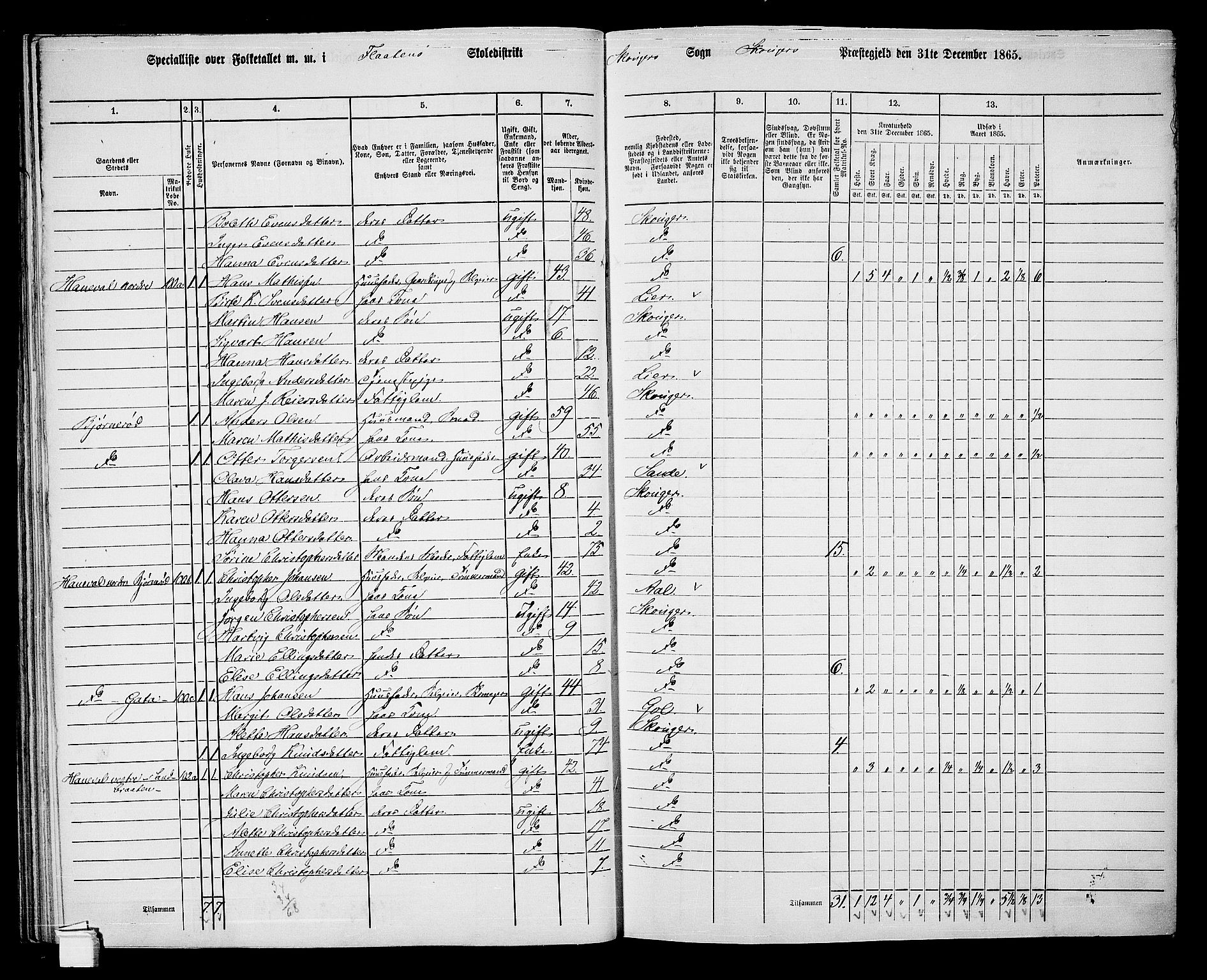 RA, 1865 census for Skoger, 1865, p. 75