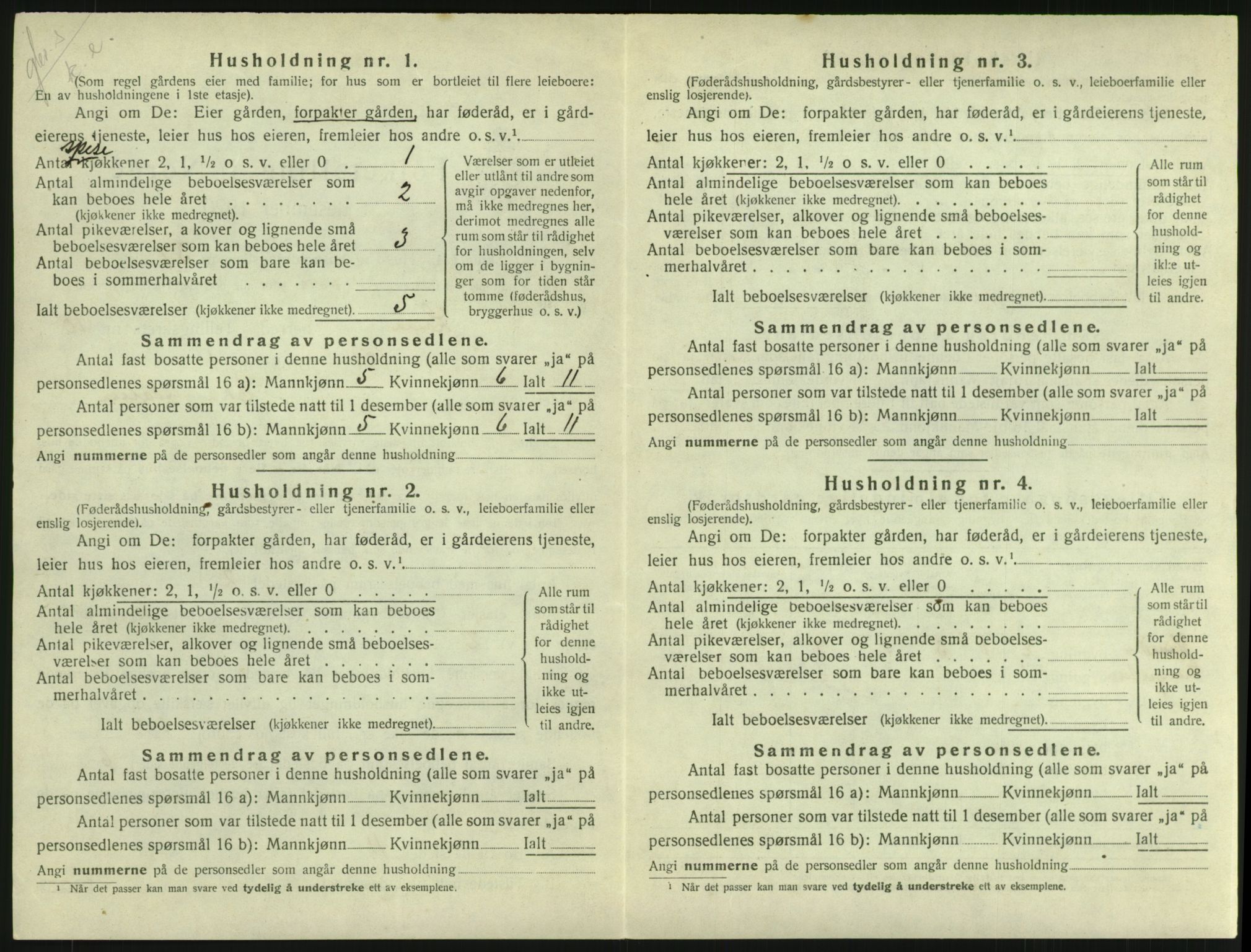 SAH, 1920 census for Lom, 1920, p. 917