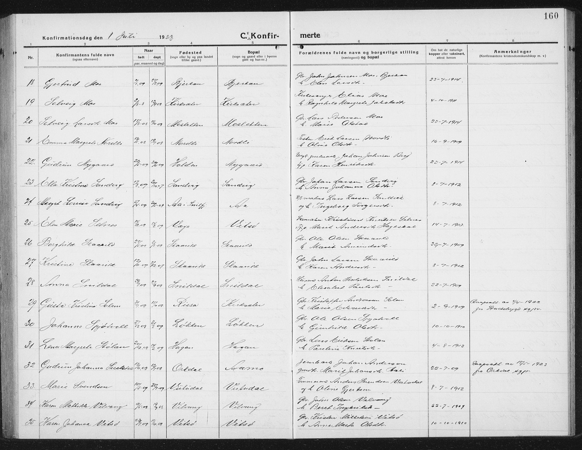 Ministerialprotokoller, klokkerbøker og fødselsregistre - Sør-Trøndelag, SAT/A-1456/630/L0506: Parish register (copy) no. 630C04, 1914-1933, p. 160