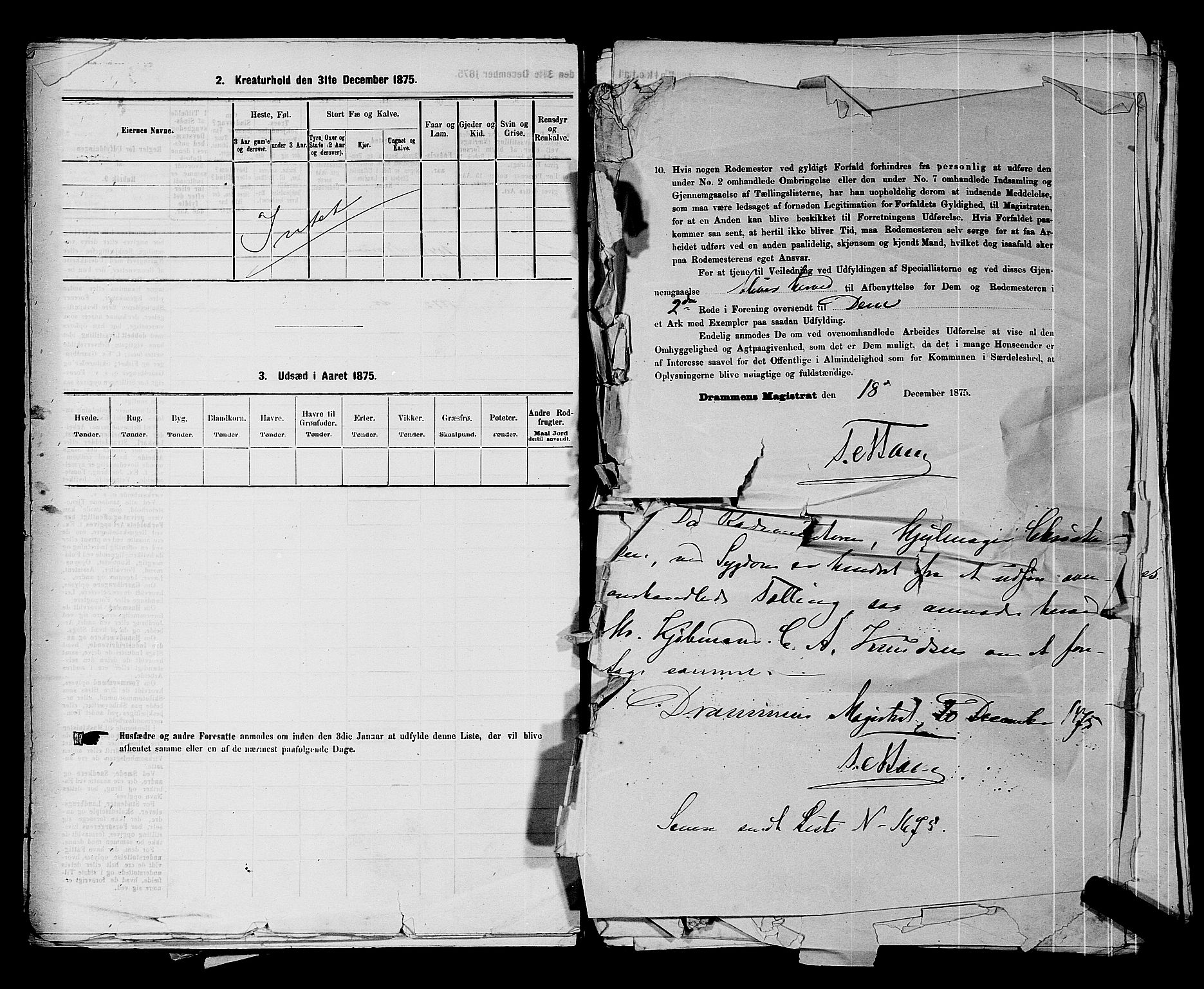 SAKO, 1875 census for 0602 Drammen, 1875, p. 176