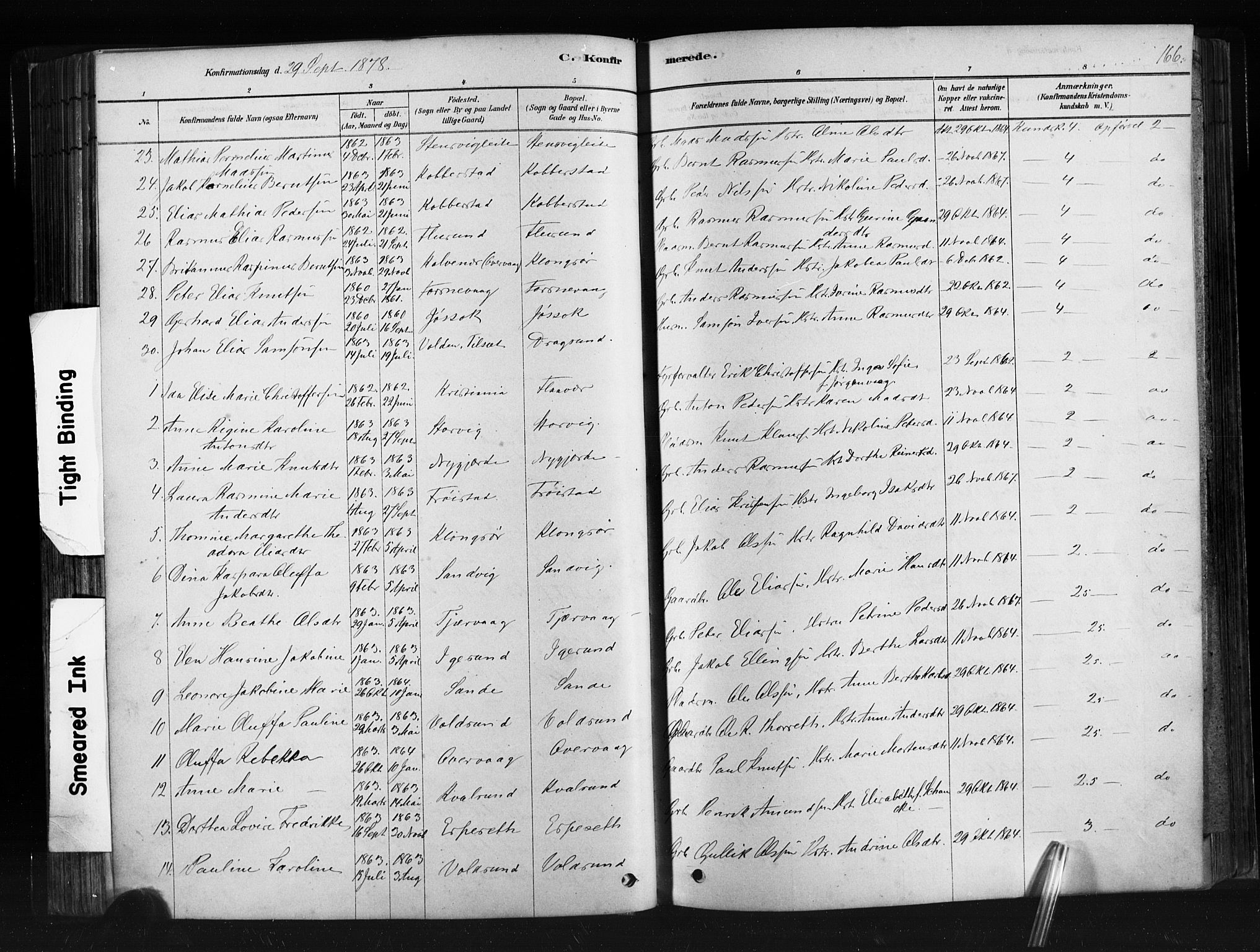 Ministerialprotokoller, klokkerbøker og fødselsregistre - Møre og Romsdal, AV/SAT-A-1454/507/L0073: Parish register (official) no. 507A08, 1878-1904, p. 166