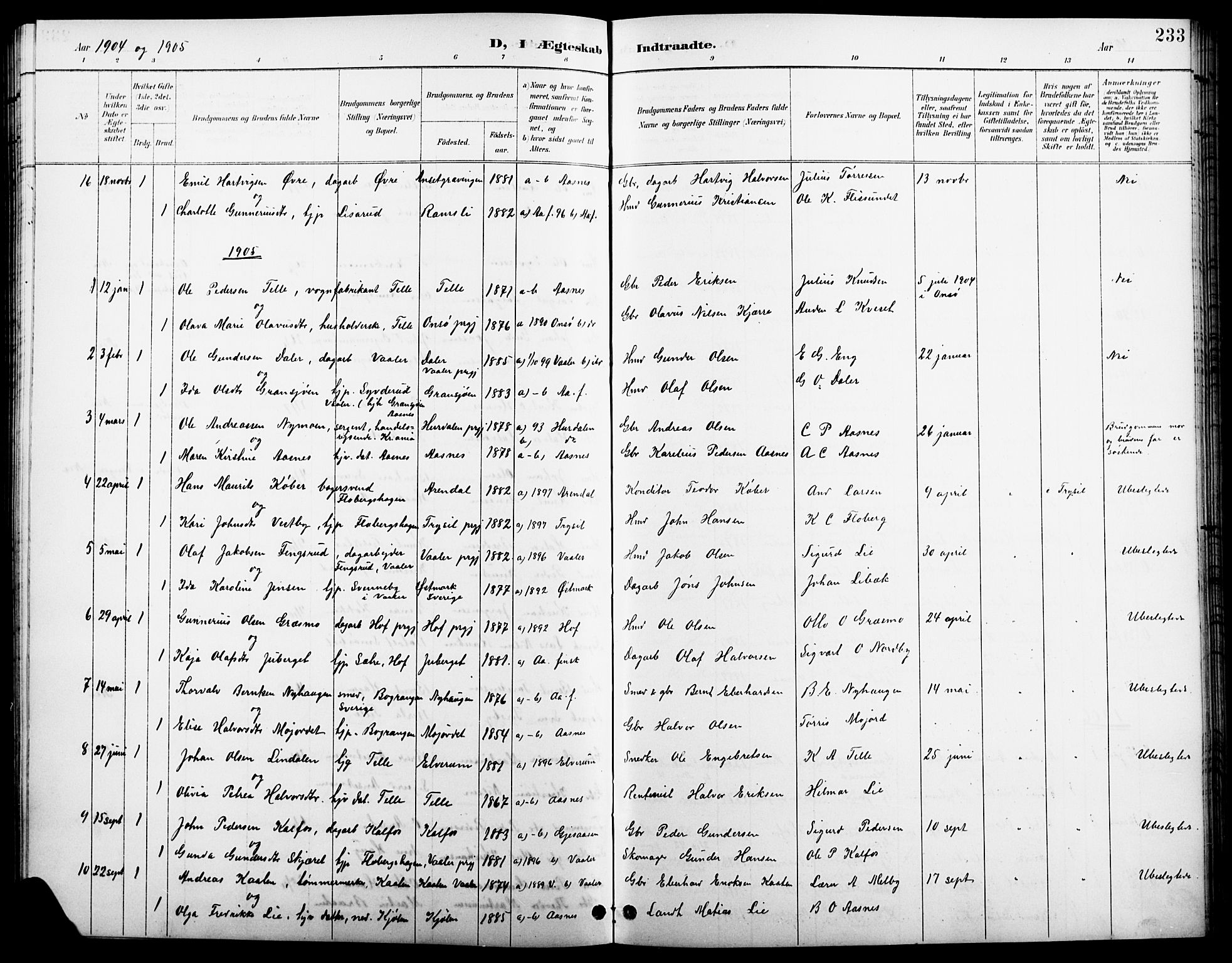 Åsnes prestekontor, AV/SAH-PREST-042/H/Ha/Hab/L0004: Parish register (copy) no. 4, 1895-1909, p. 233