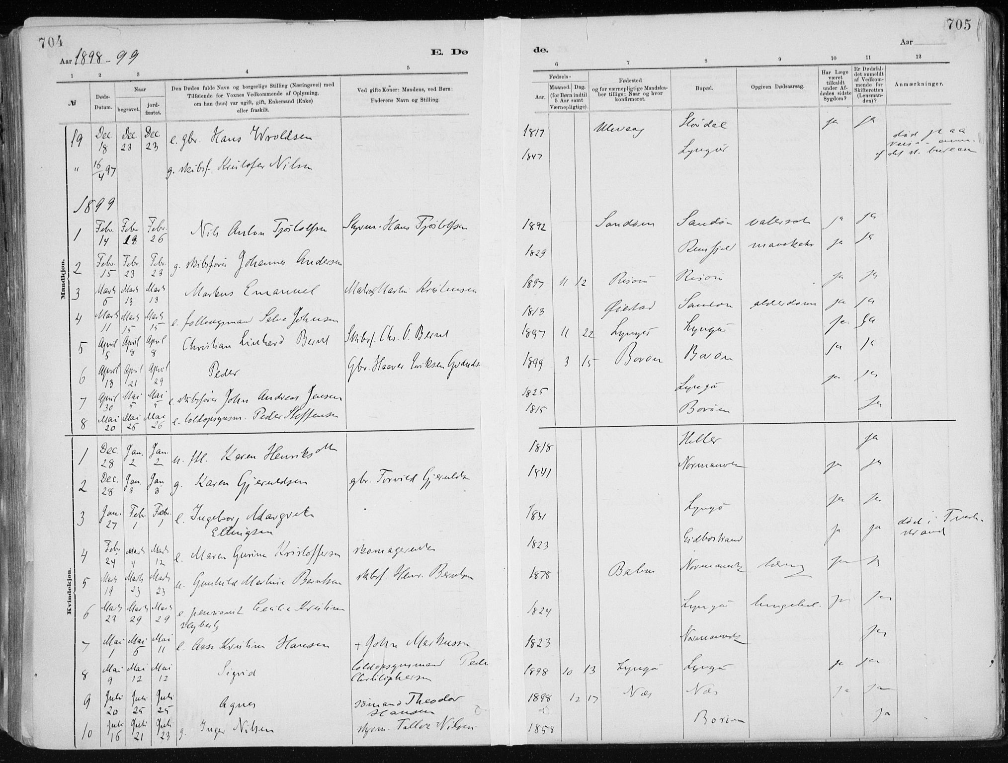 Dypvåg sokneprestkontor, SAK/1111-0007/F/Fa/Faa/L0008: Parish register (official) no. A 8, 1885-1906, p. 704-705