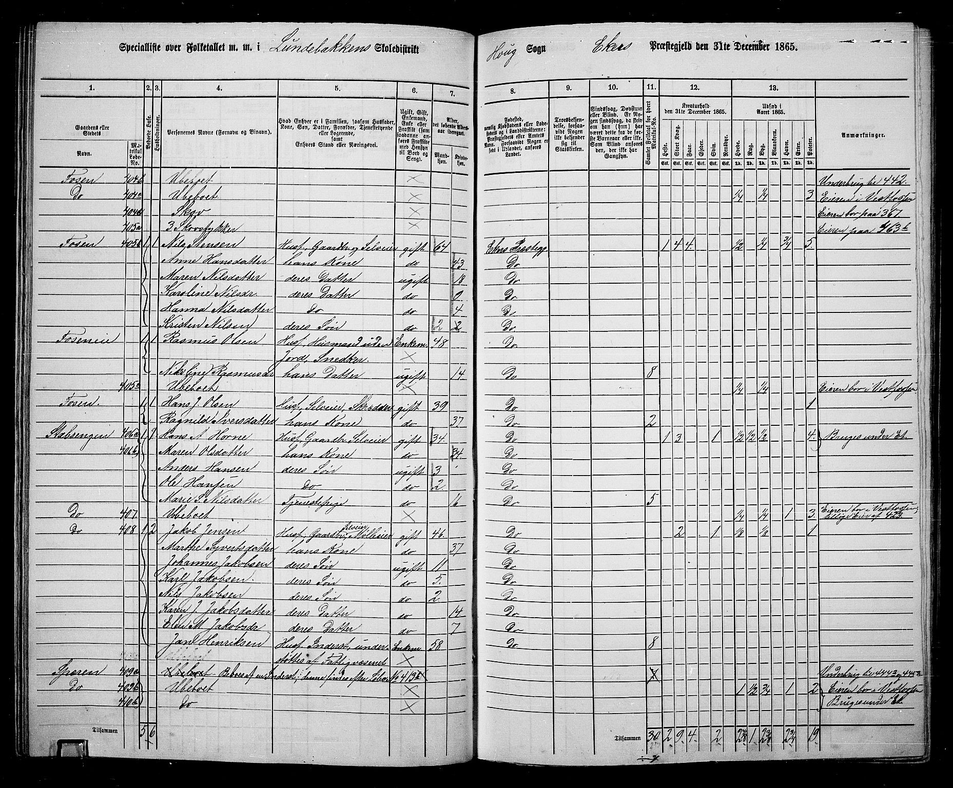 RA, 1865 census for Eiker, 1865, p. 92
