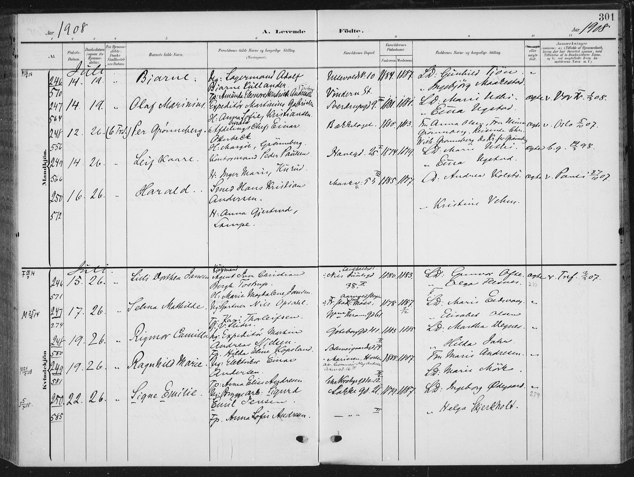Rikshospitalet prestekontor Kirkebøker, SAO/A-10309b/F/L0013: Parish register (official) no. 13, 1905-1908, p. 301