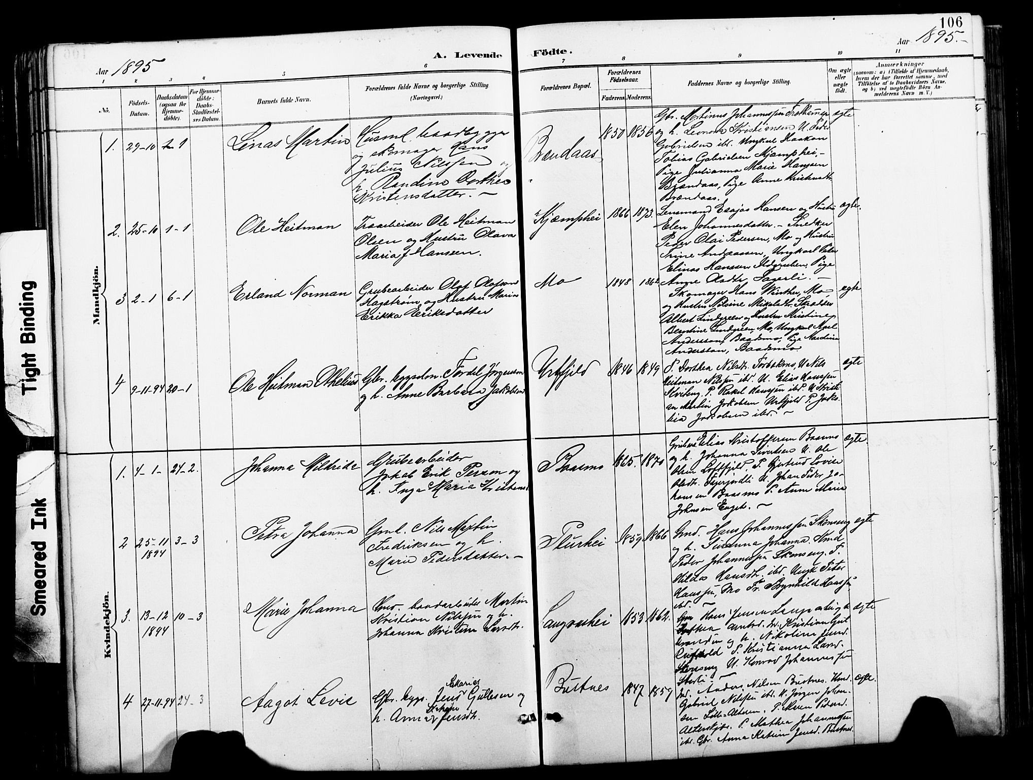 Ministerialprotokoller, klokkerbøker og fødselsregistre - Nordland, SAT/A-1459/827/L0421: Parish register (copy) no. 827C10, 1887-1906, p. 106