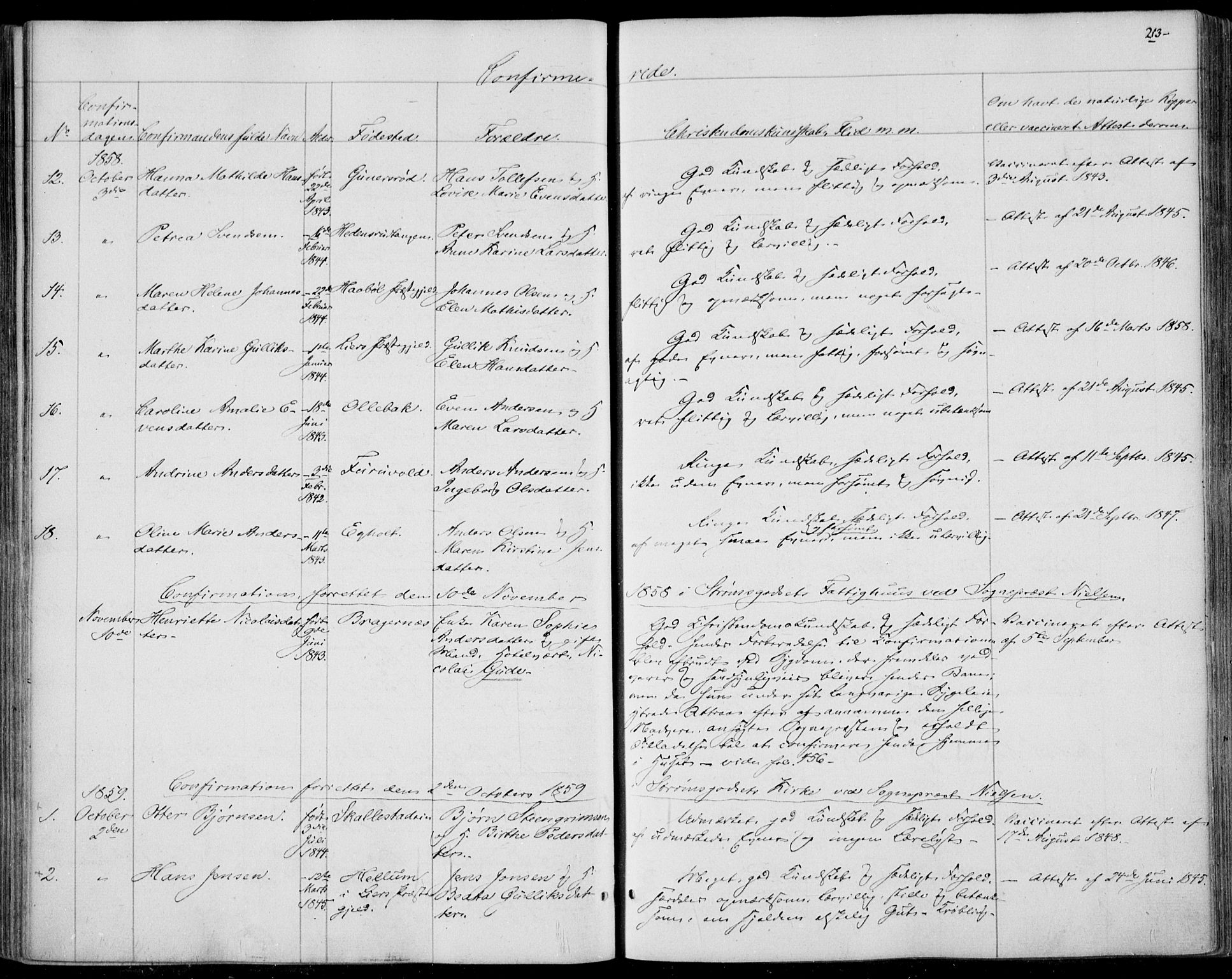 Skoger kirkebøker, AV/SAKO-A-59/F/Fa/L0003: Parish register (official) no. I 3, 1842-1861, p. 213