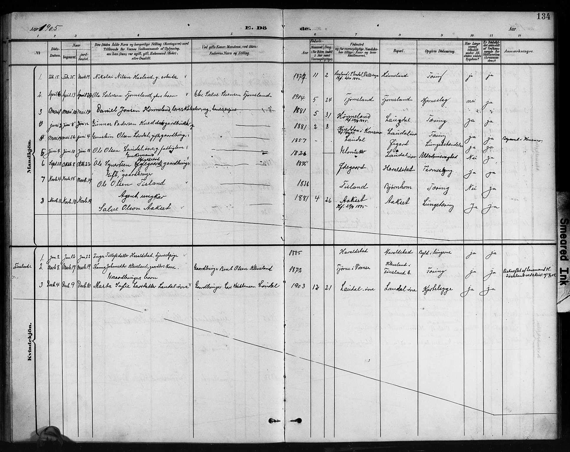 Holum sokneprestkontor, SAK/1111-0022/F/Fb/Fbb/L0004: Parish register (copy) no. B 4, 1899-1920, p. 134