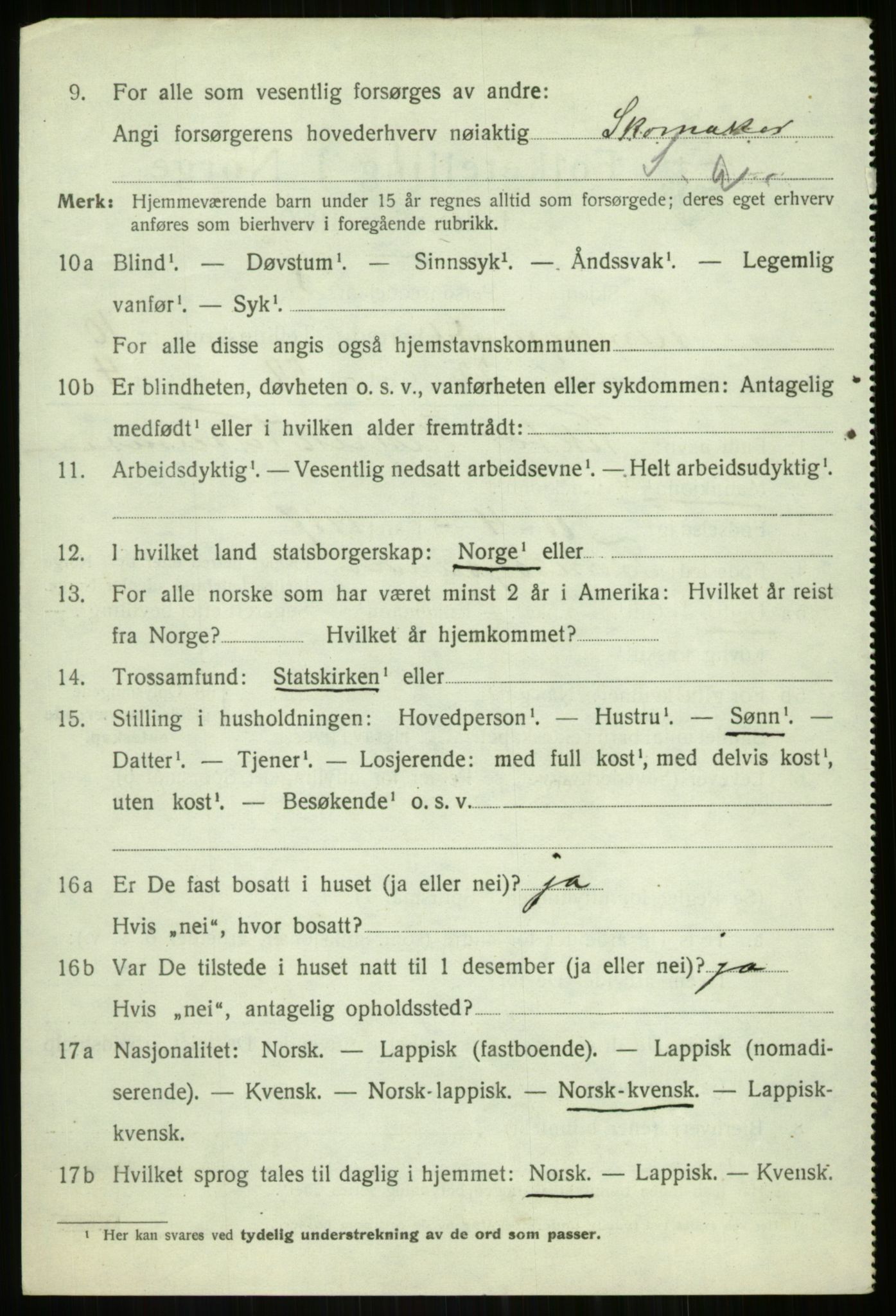 SATØ, 1920 census for Tromsøysund, 1920, p. 7239