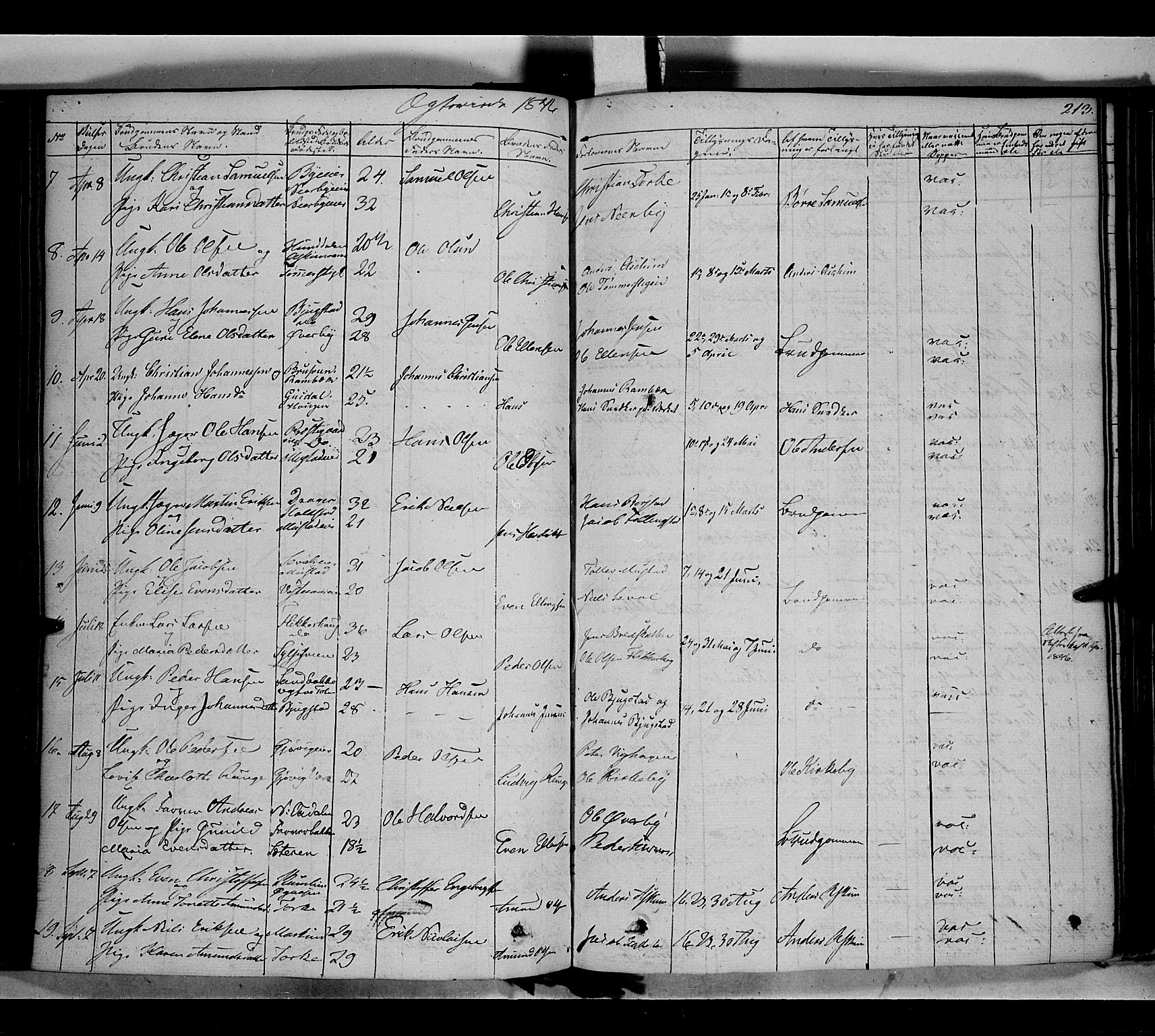 Vardal prestekontor, SAH/PREST-100/H/Ha/Haa/L0005: Parish register (official) no. 5, 1831-1853, p. 213