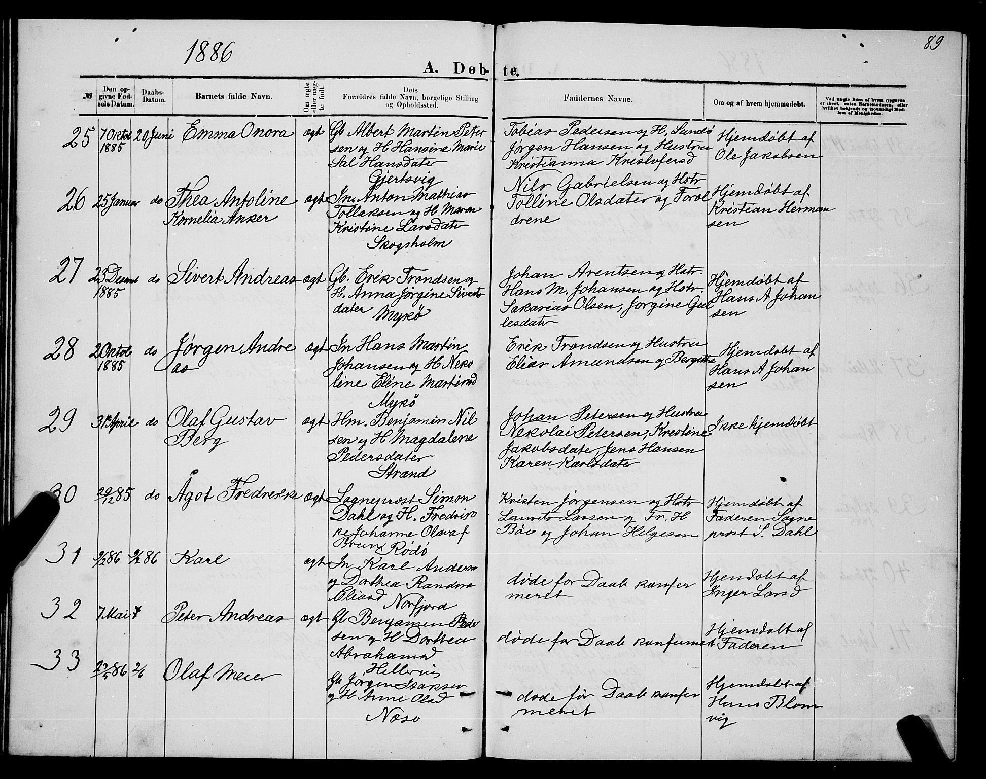 Ministerialprotokoller, klokkerbøker og fødselsregistre - Nordland, AV/SAT-A-1459/841/L0620: Parish register (copy) no. 841C04, 1877-1896, p. 89