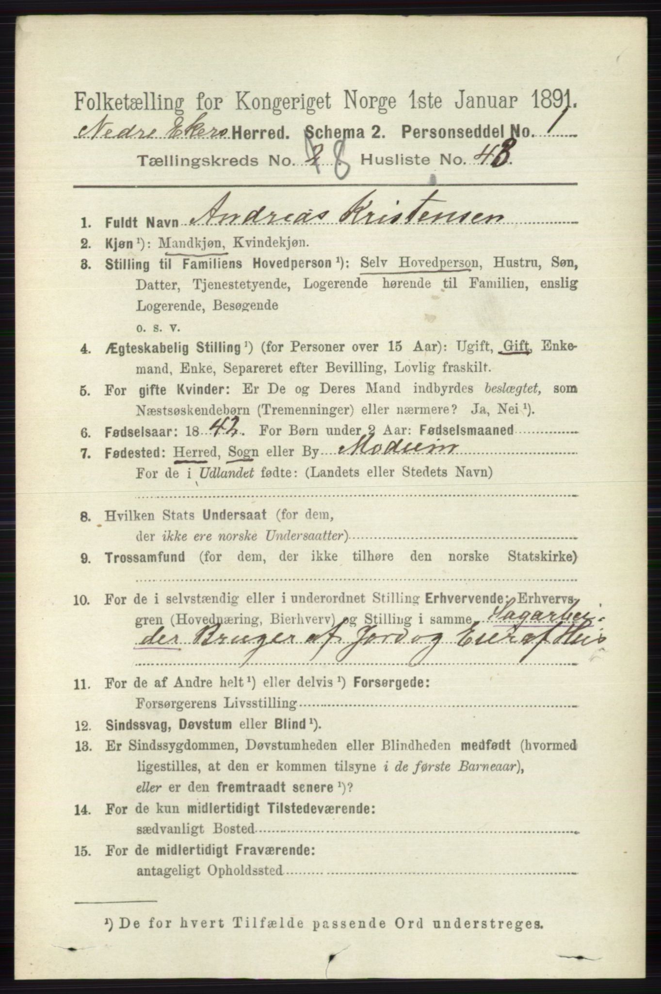 RA, 1891 census for 0625 Nedre Eiker, 1891, p. 4224