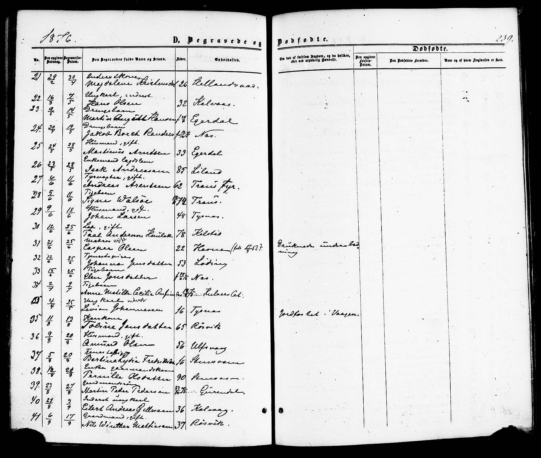 Ministerialprotokoller, klokkerbøker og fødselsregistre - Nordland, AV/SAT-A-1459/859/L0845: Parish register (official) no. 859A05, 1863-1877, p. 239