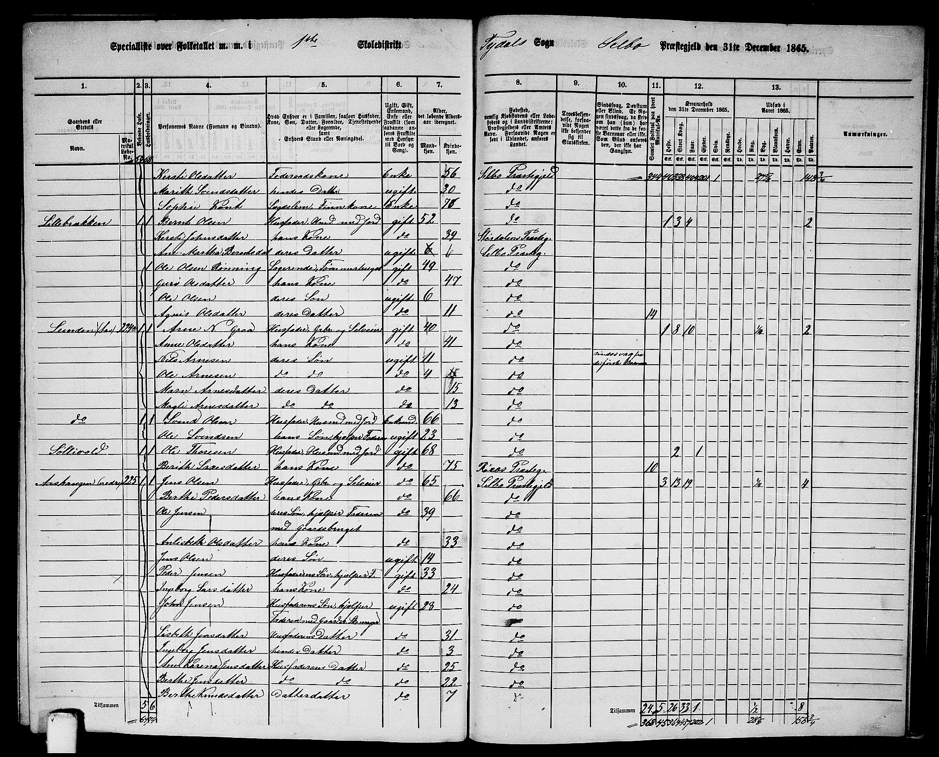 RA, 1865 census for Selbu, 1865, p. 236