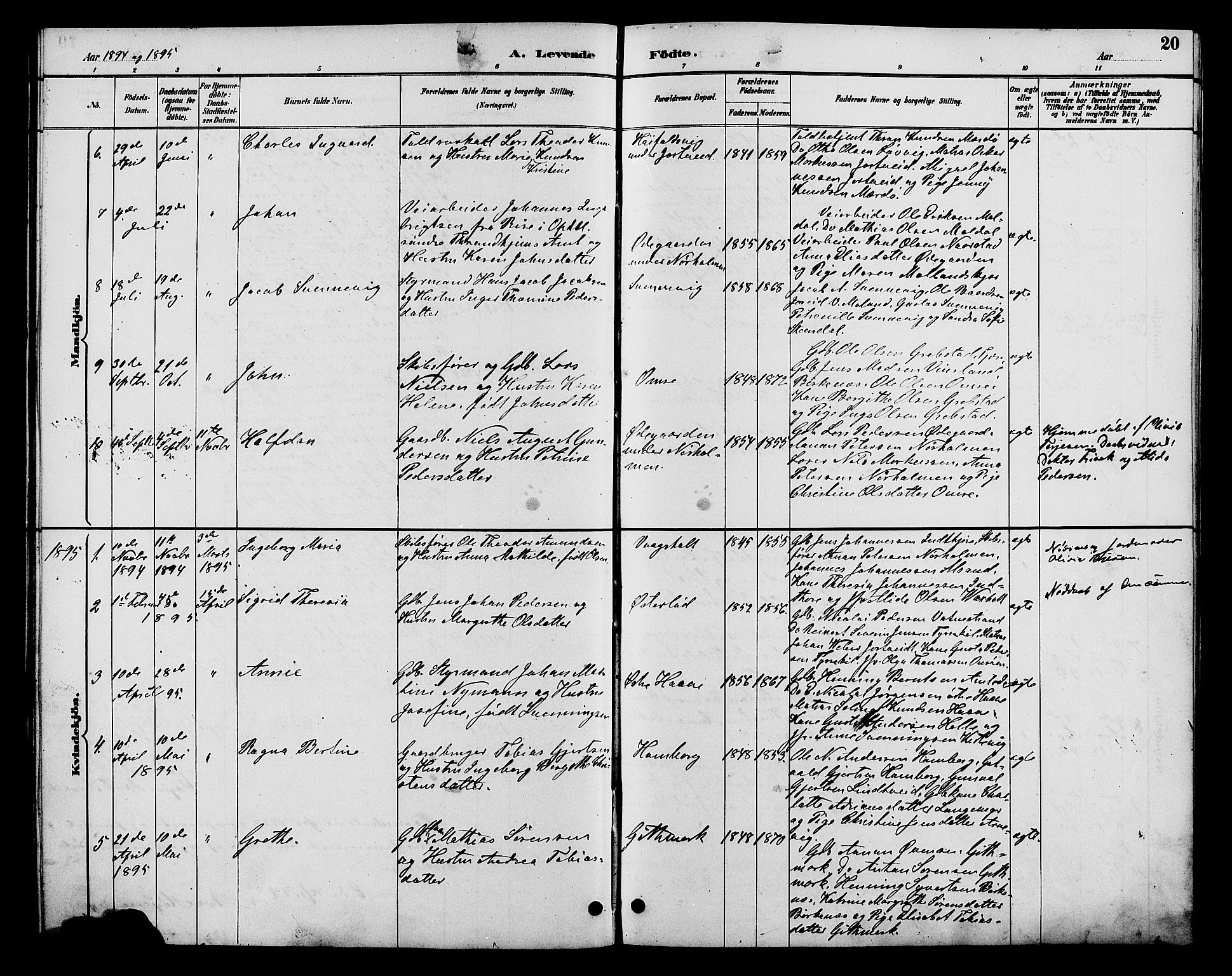 Hommedal sokneprestkontor, AV/SAK-1111-0023/F/Fb/Fba/L0004: Parish register (copy) no. B 4, 1885-1908, p. 20